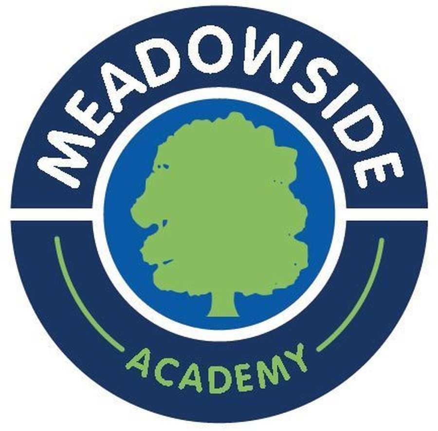 Friends of Meadowside Academy Primary School logo