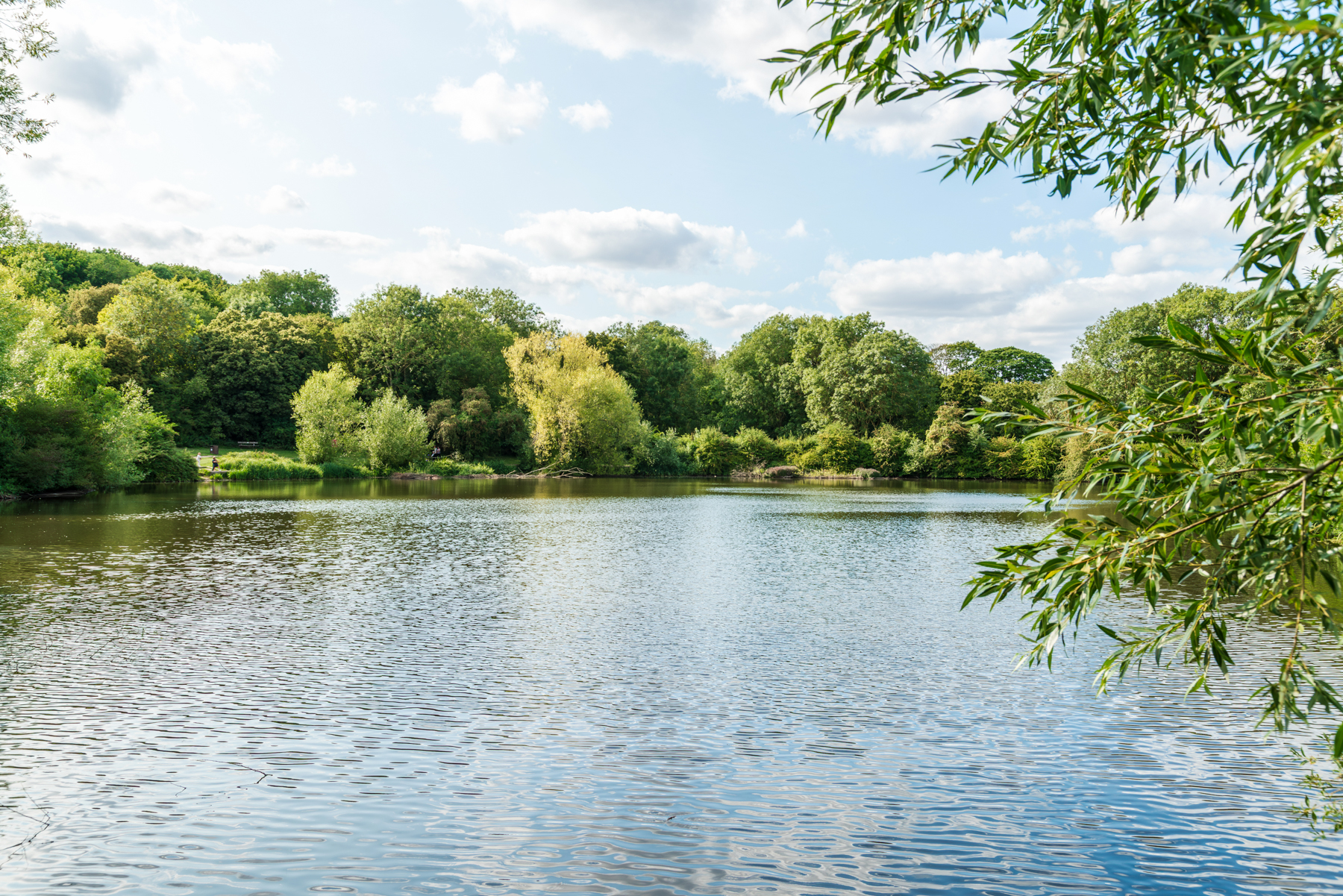 Idyllic walks at Capstone Country Park are just minutes from home