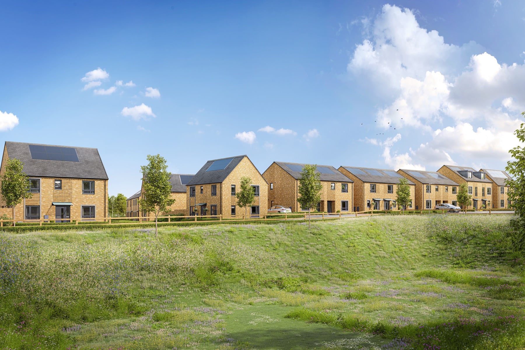 Capstone Oaks is a development coming soon to Chatham!