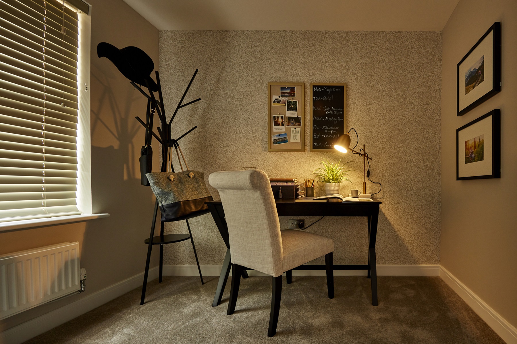 The Manford Study