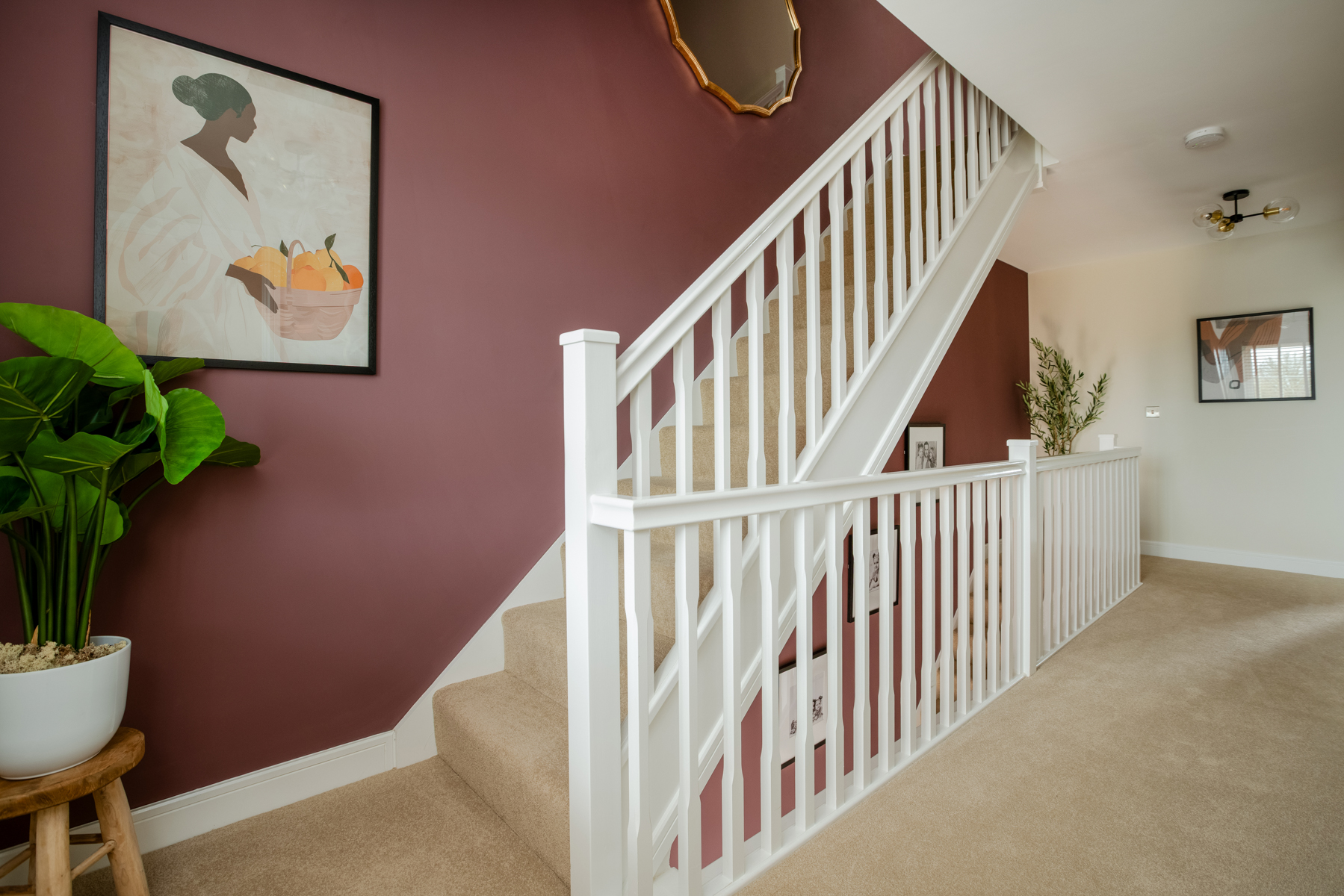 There's more to explore...