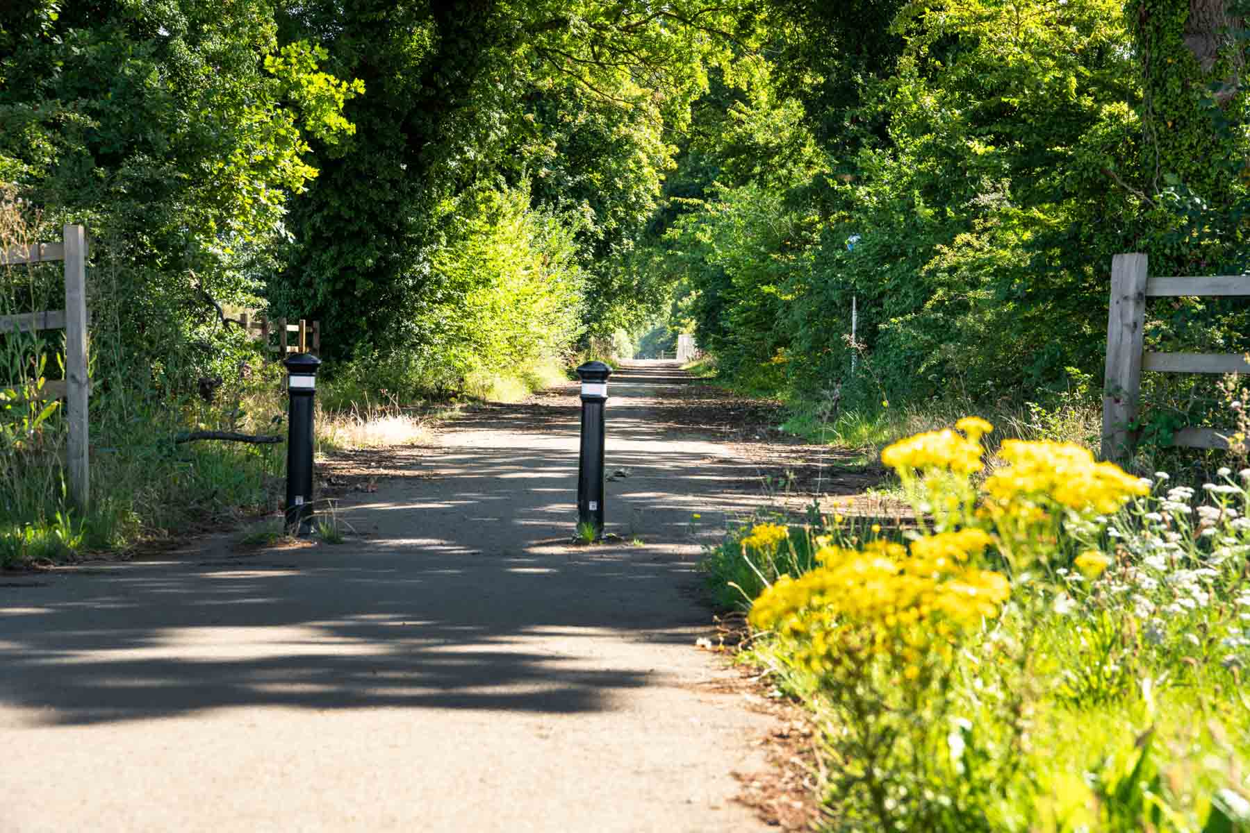 Overstone Woodland Walk