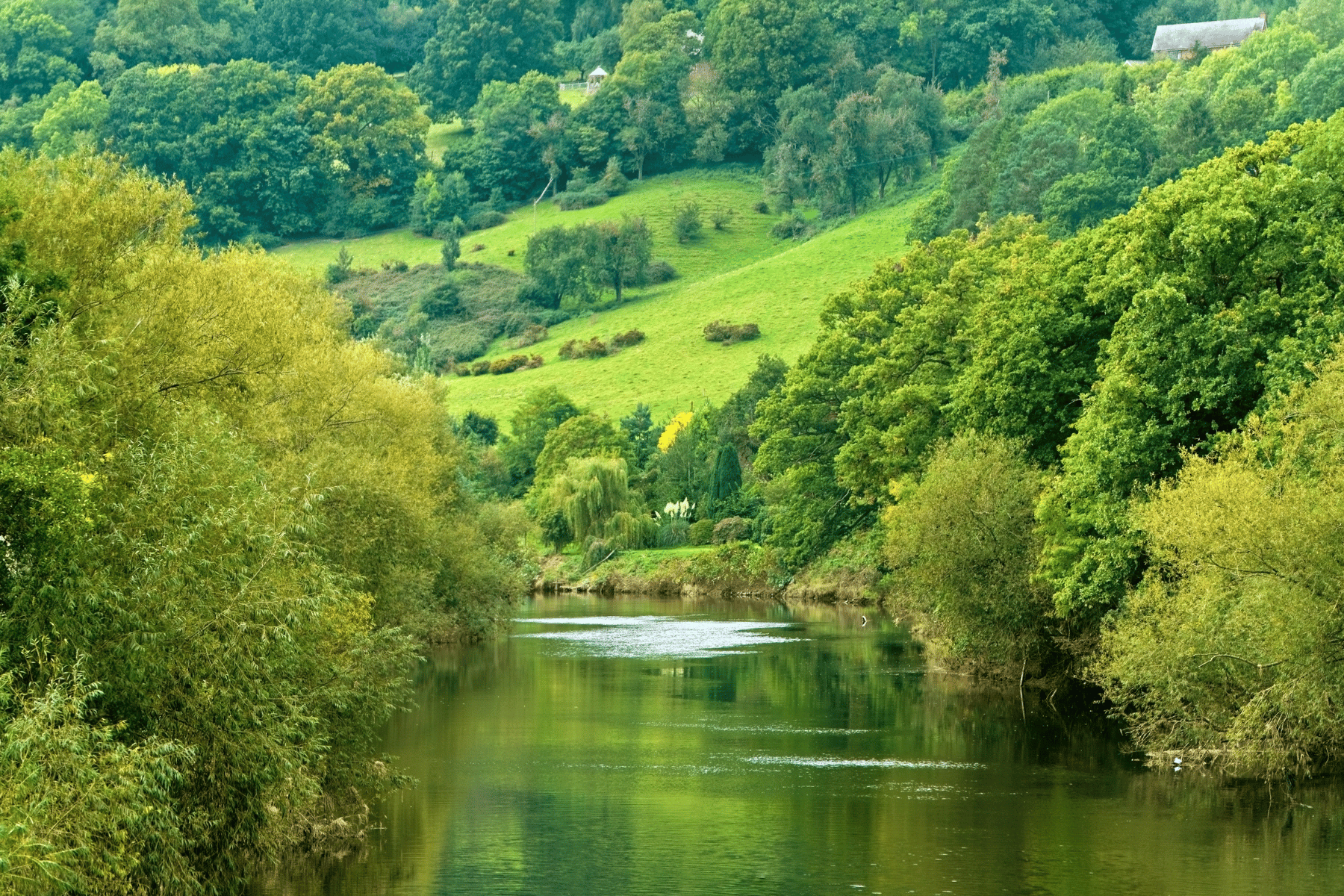 River Wye