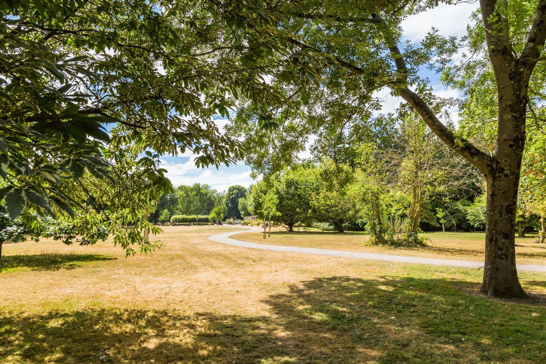 Take a walk along the Taff trail close by