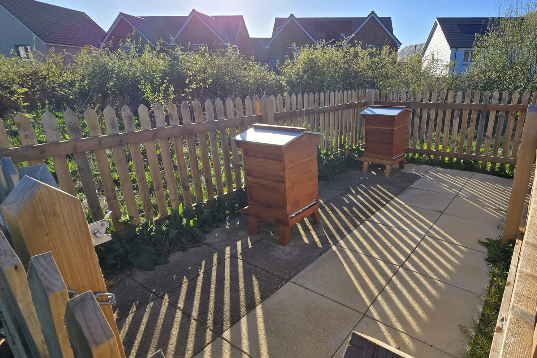 Beehives at Ockley Park