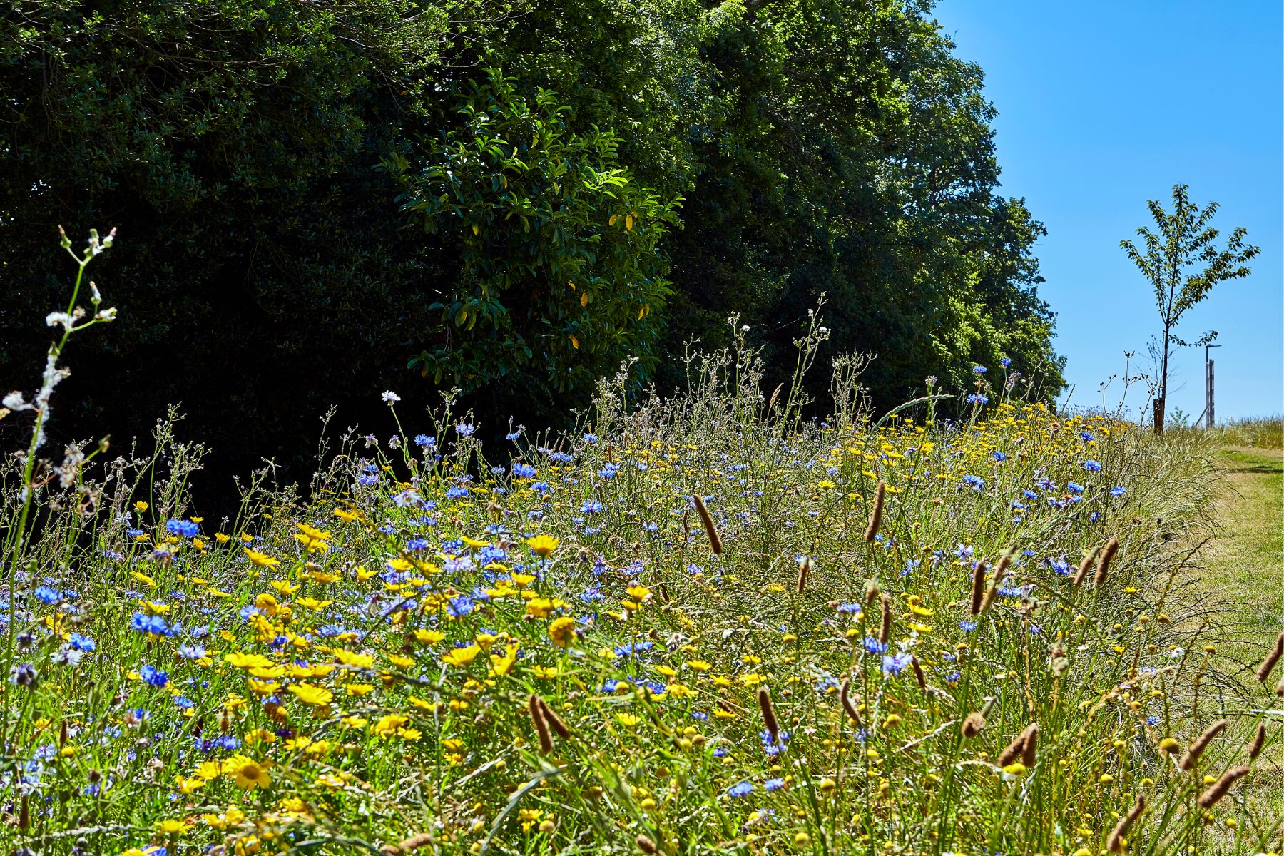 TW ST Greenhill Gardens_H_H_POS(1)