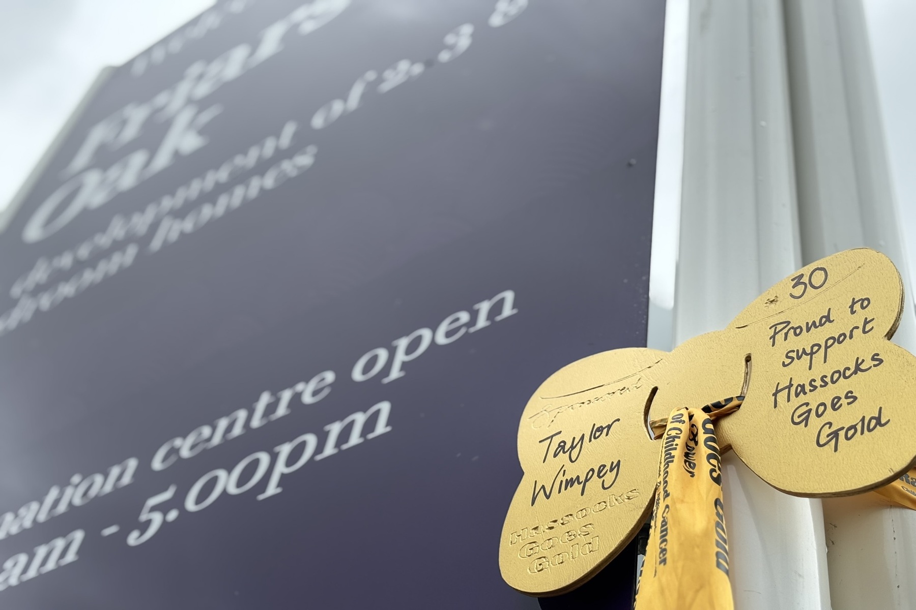 Hassocks Goes Gold Sponsorship