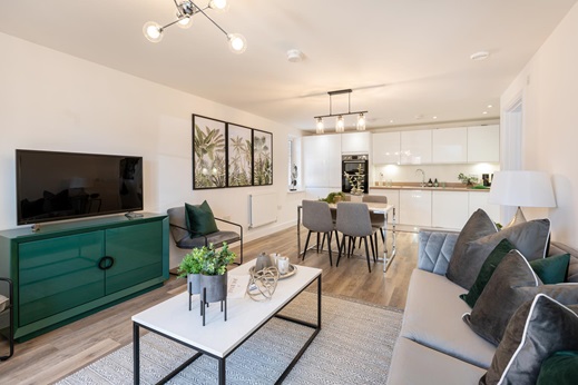 1 bedroom apartment