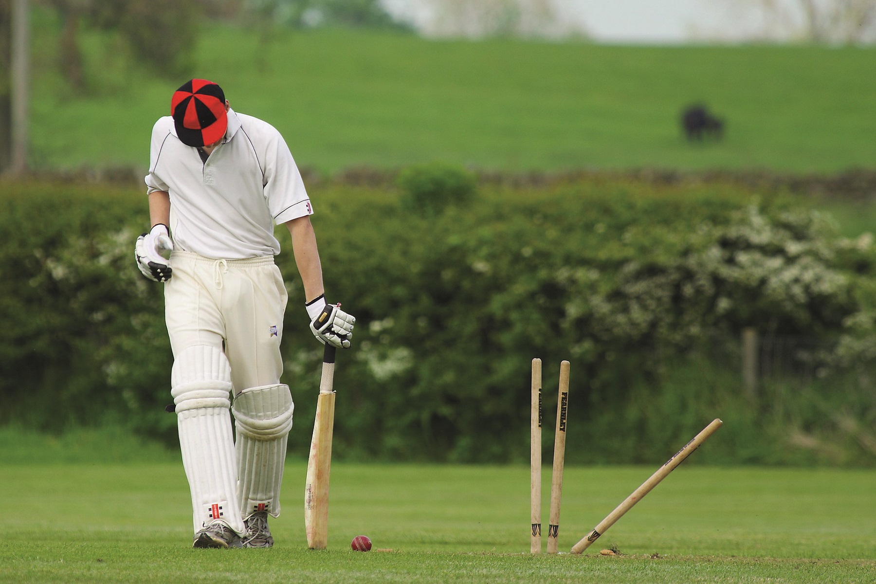 Worplesdon Cricket Club