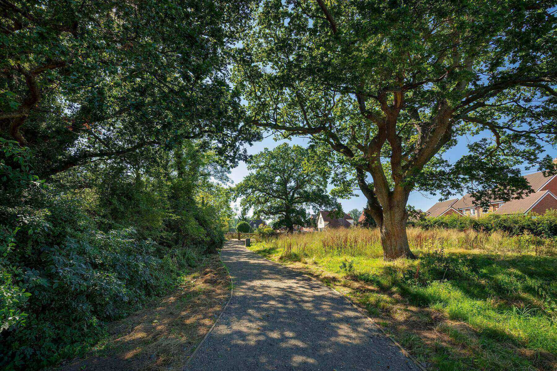 Enjoy countryside walks right on your doorstep