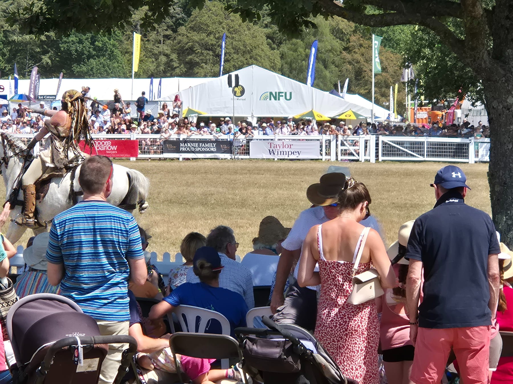 New Forest Show