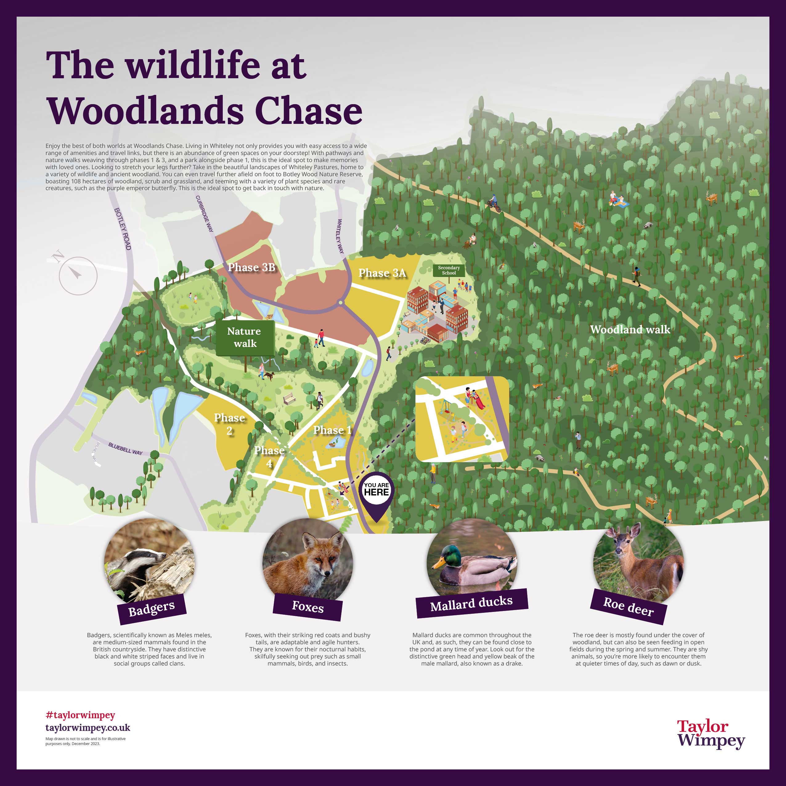 Illustrative map of the wildlife at Woodlands Chase