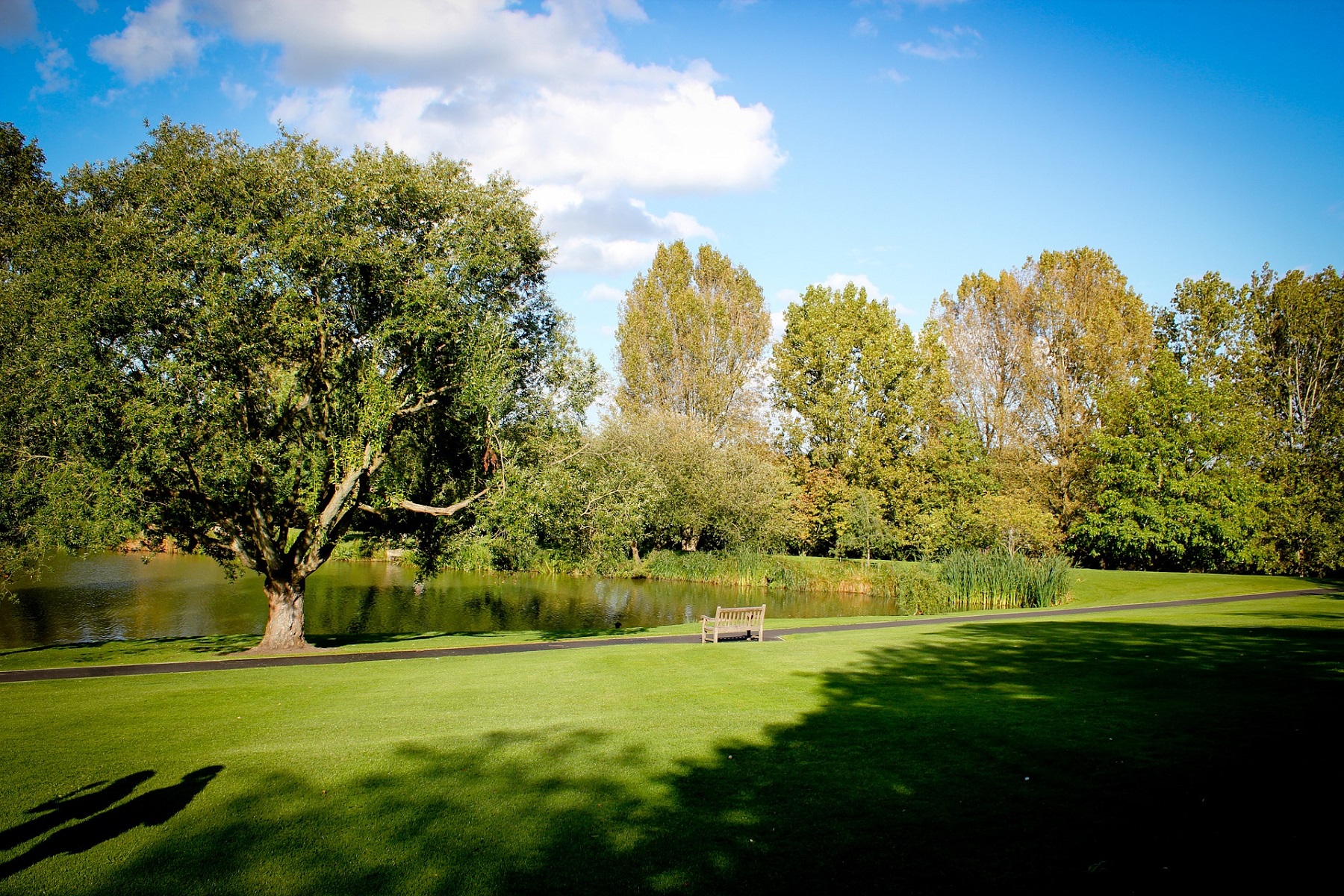 Open green spaces