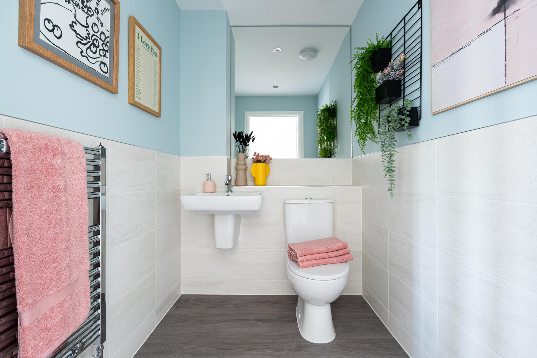 Convenient downstairs toilet