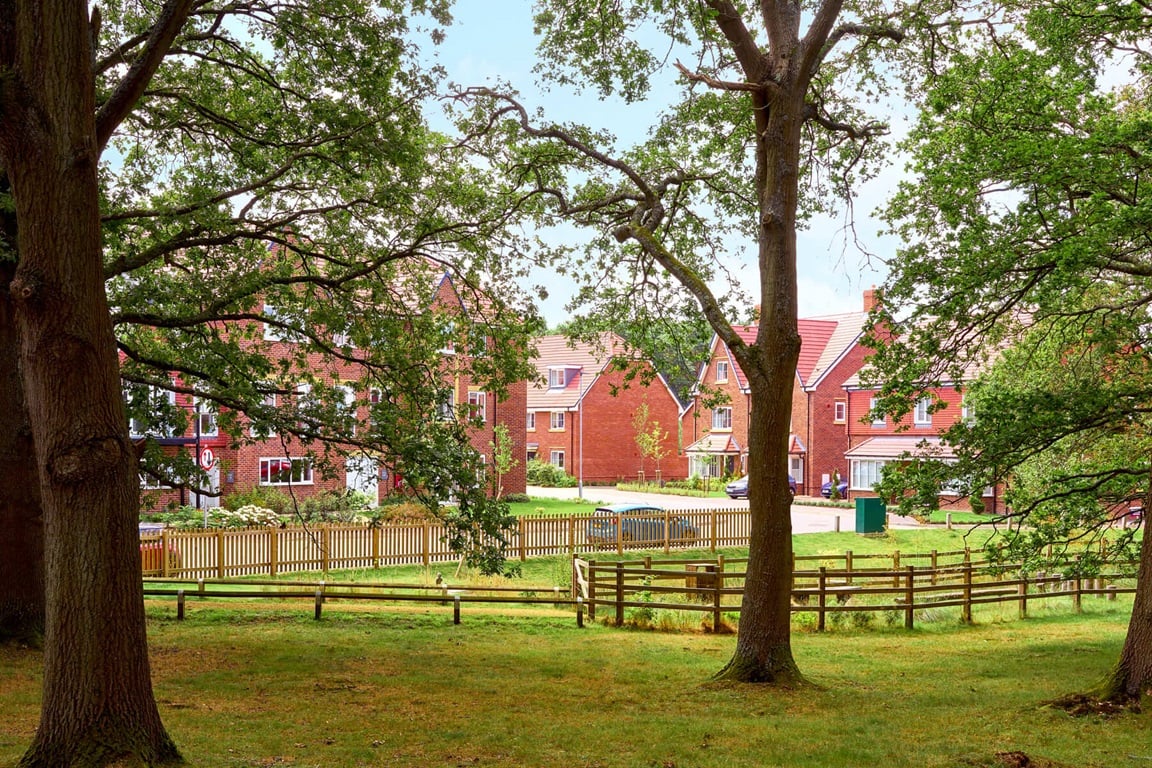 Street scene at The Evergreens