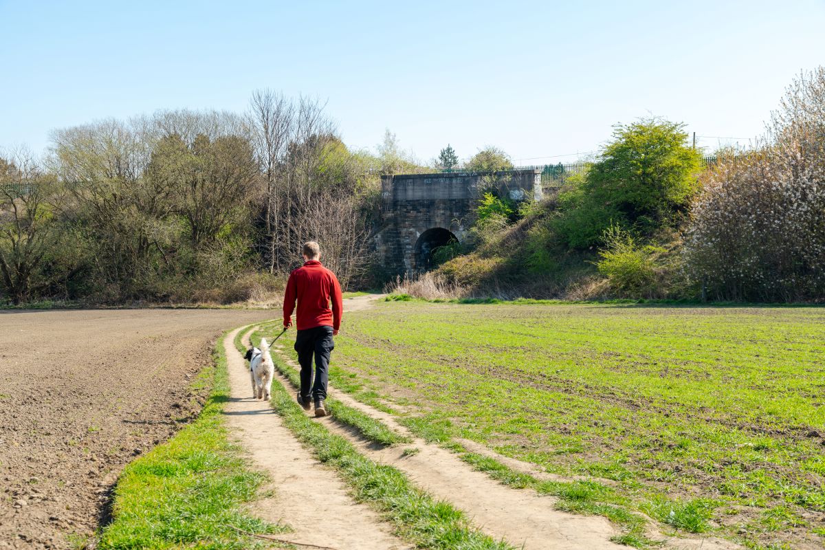 Nearby public footpaths are perfect for dog walks