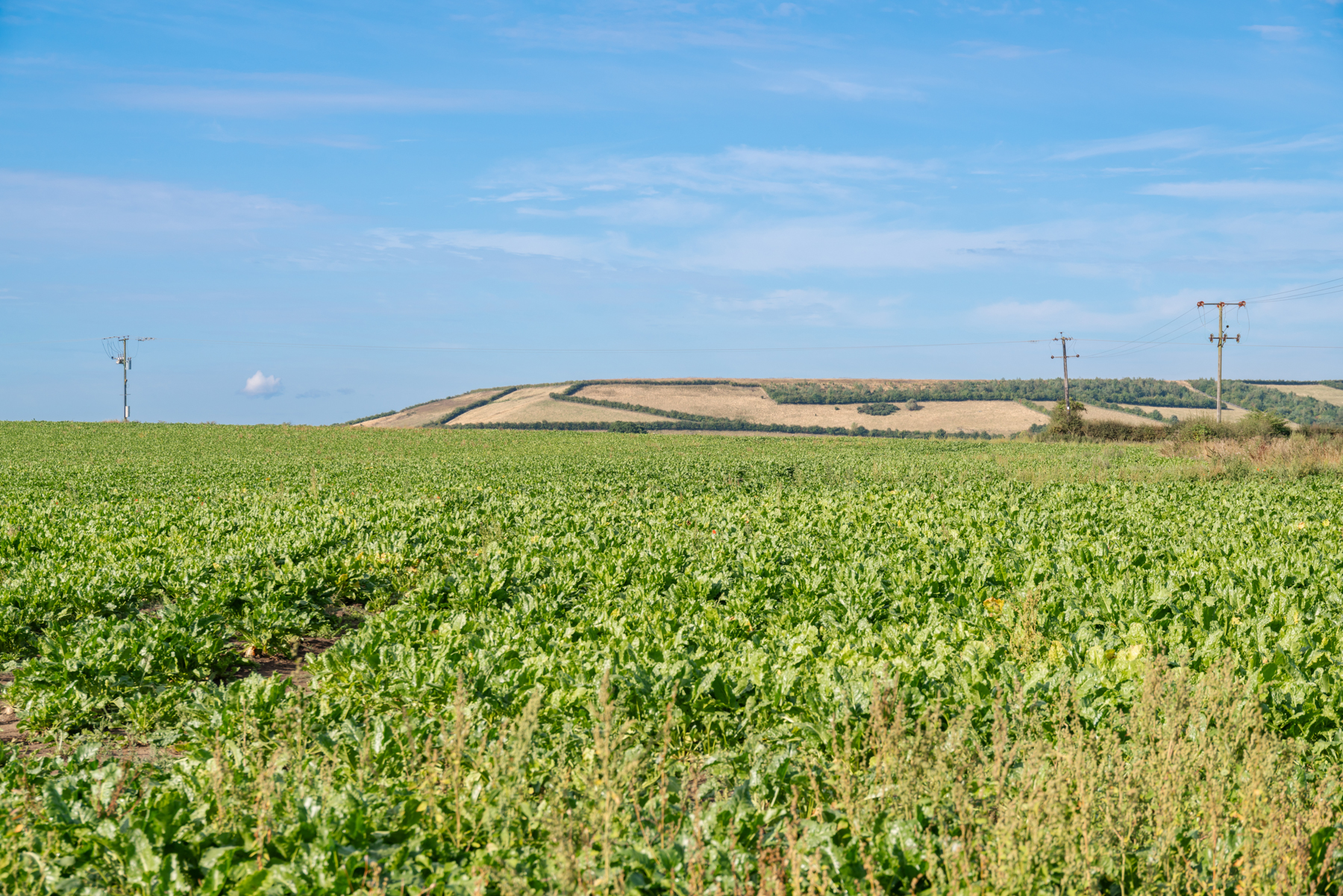 Scenic countryside surrounds the village of Eggborough