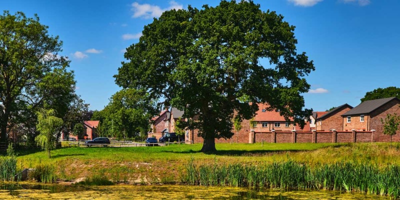 Taylor Wimpey development