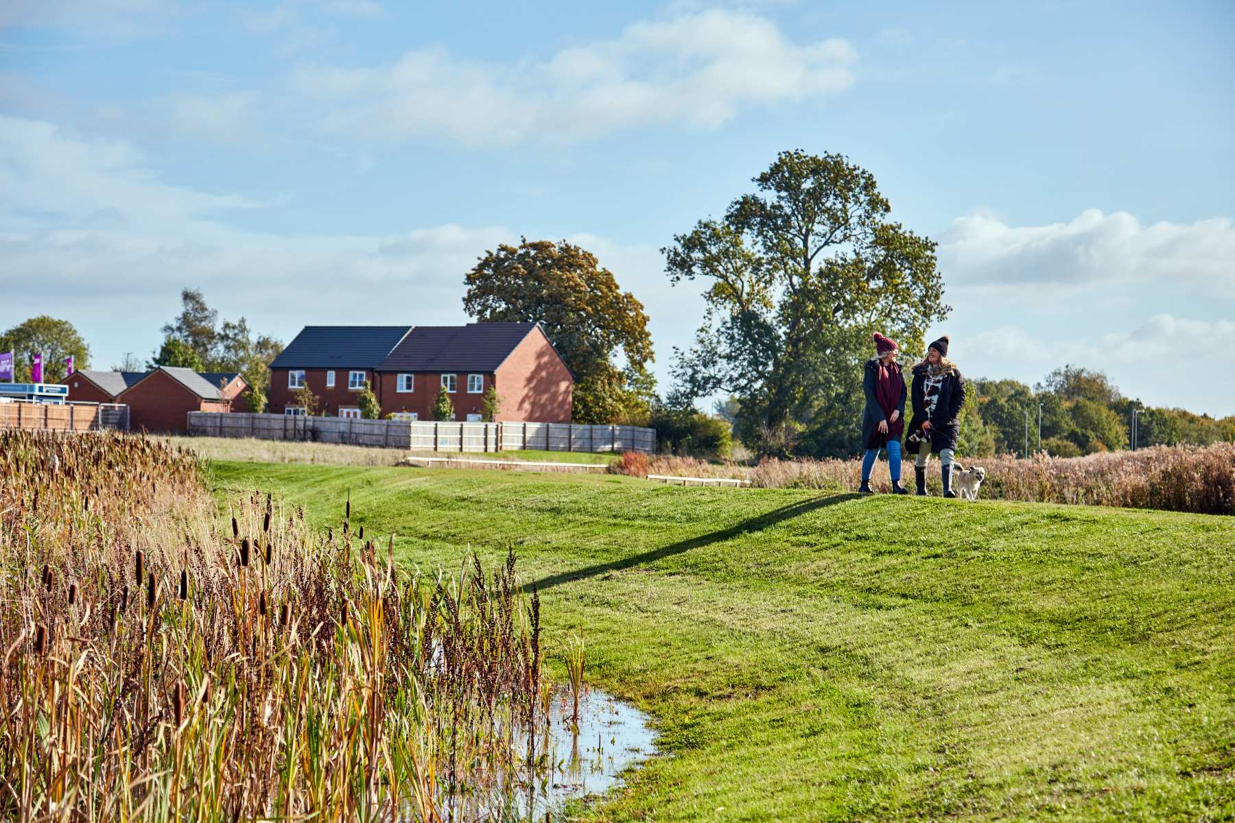 Taylor Wimpey development