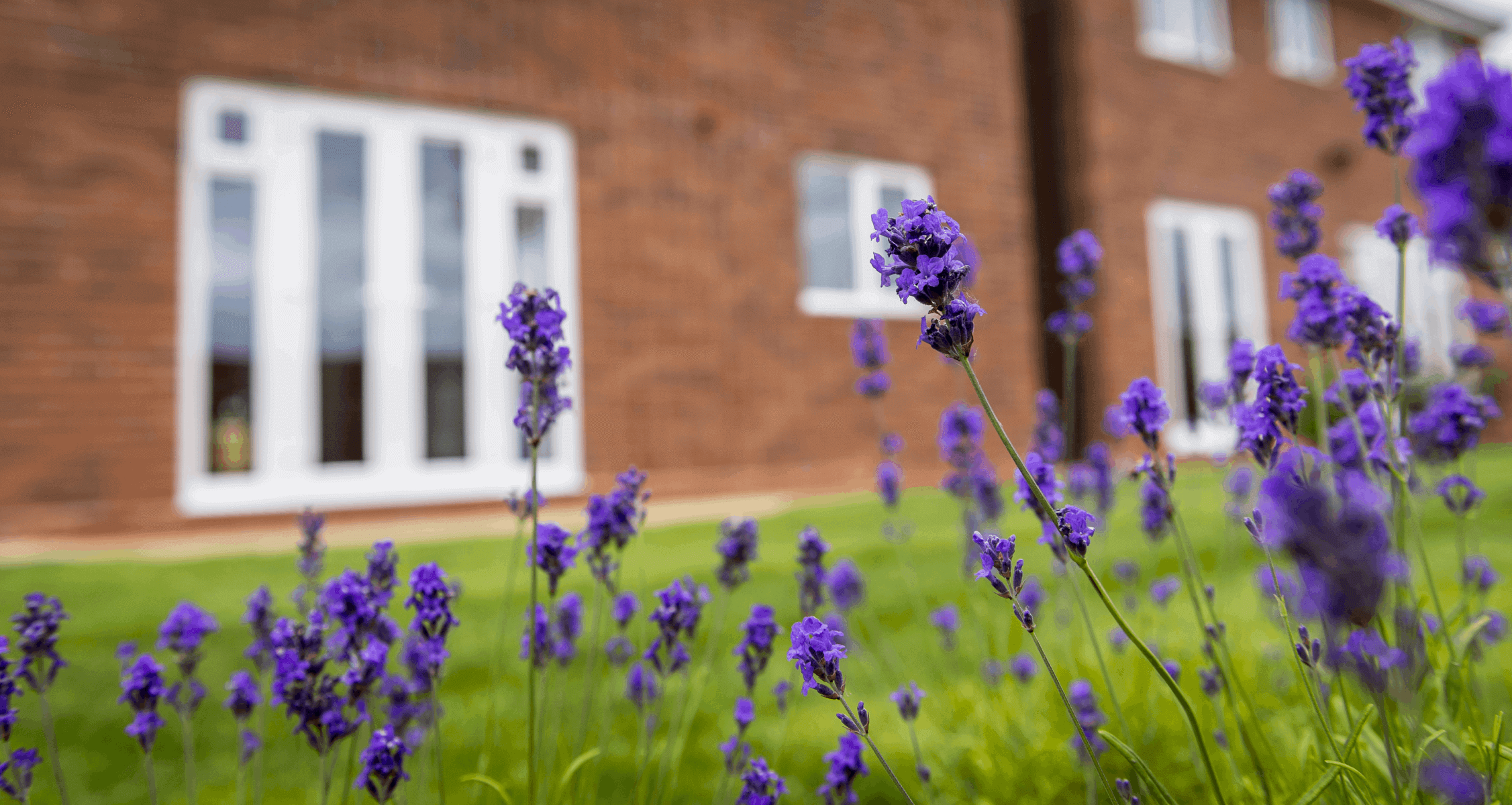 Springwalk development