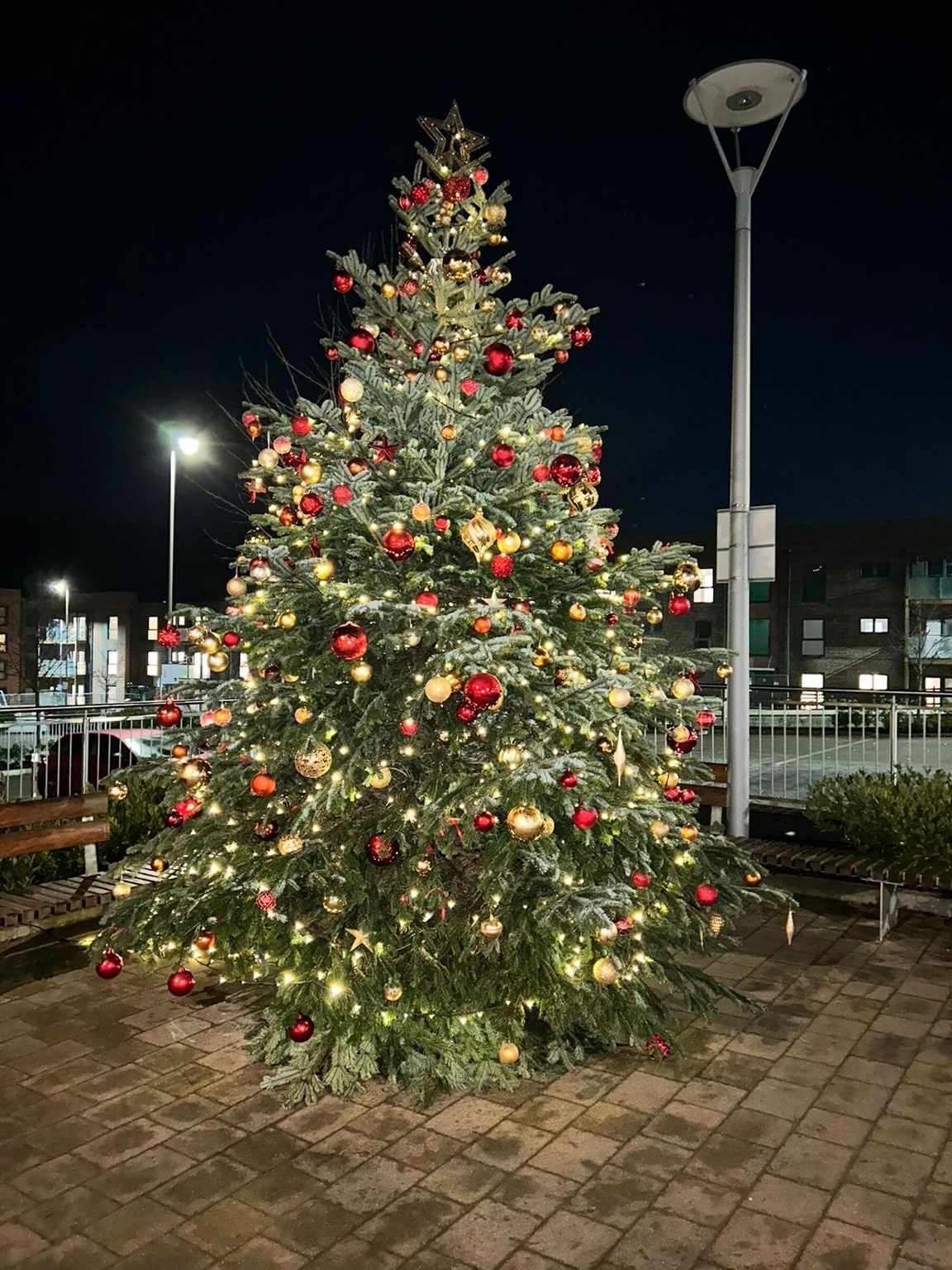Castle Hill Christmas tree