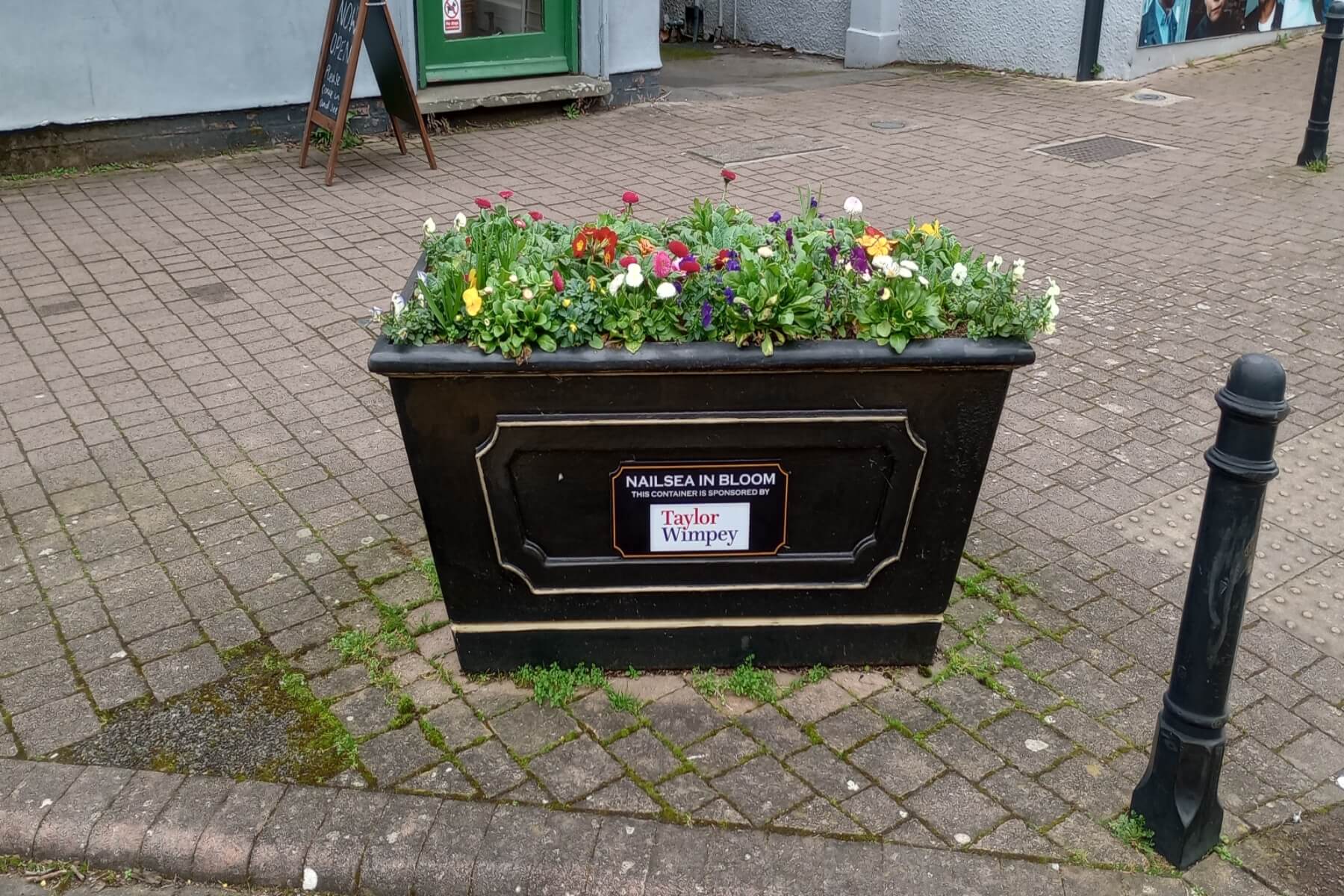 Nailsea in Bloom