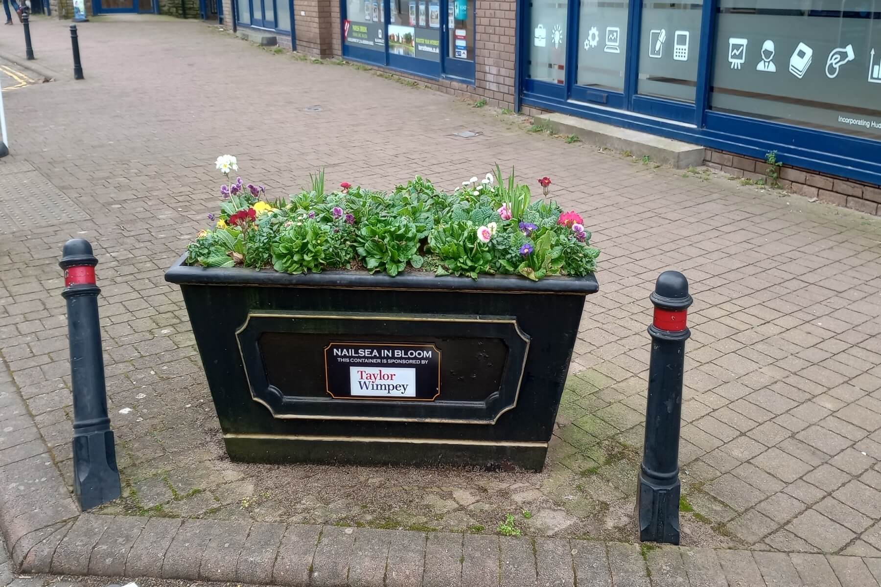 Nailsea in Bloom
