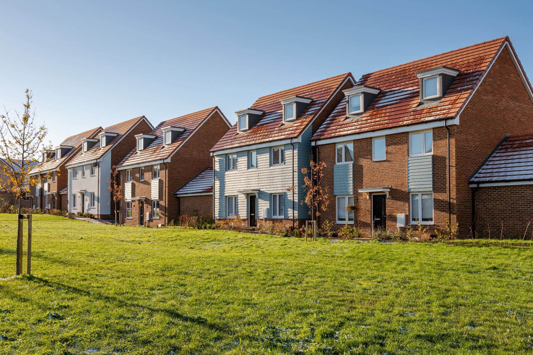 Vision at Whitehouse