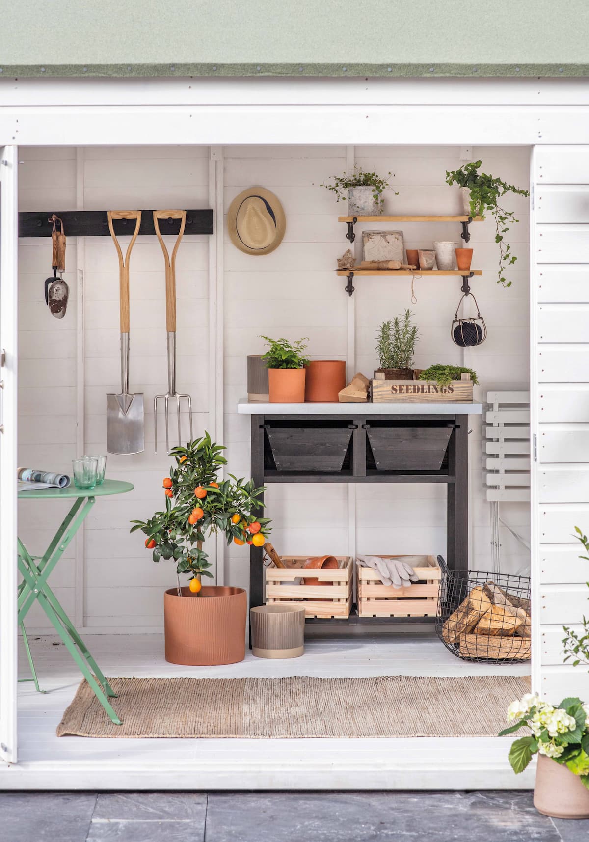 Shed