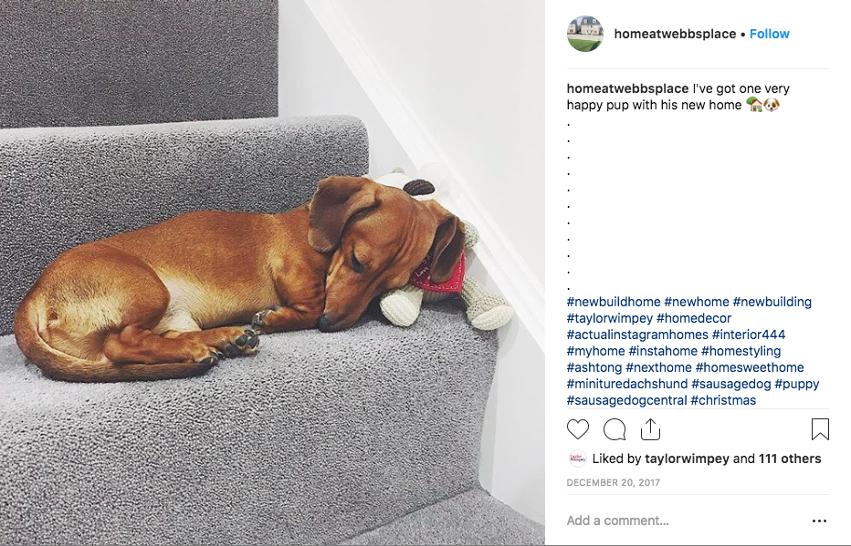 homeatwebbsplace Instagram