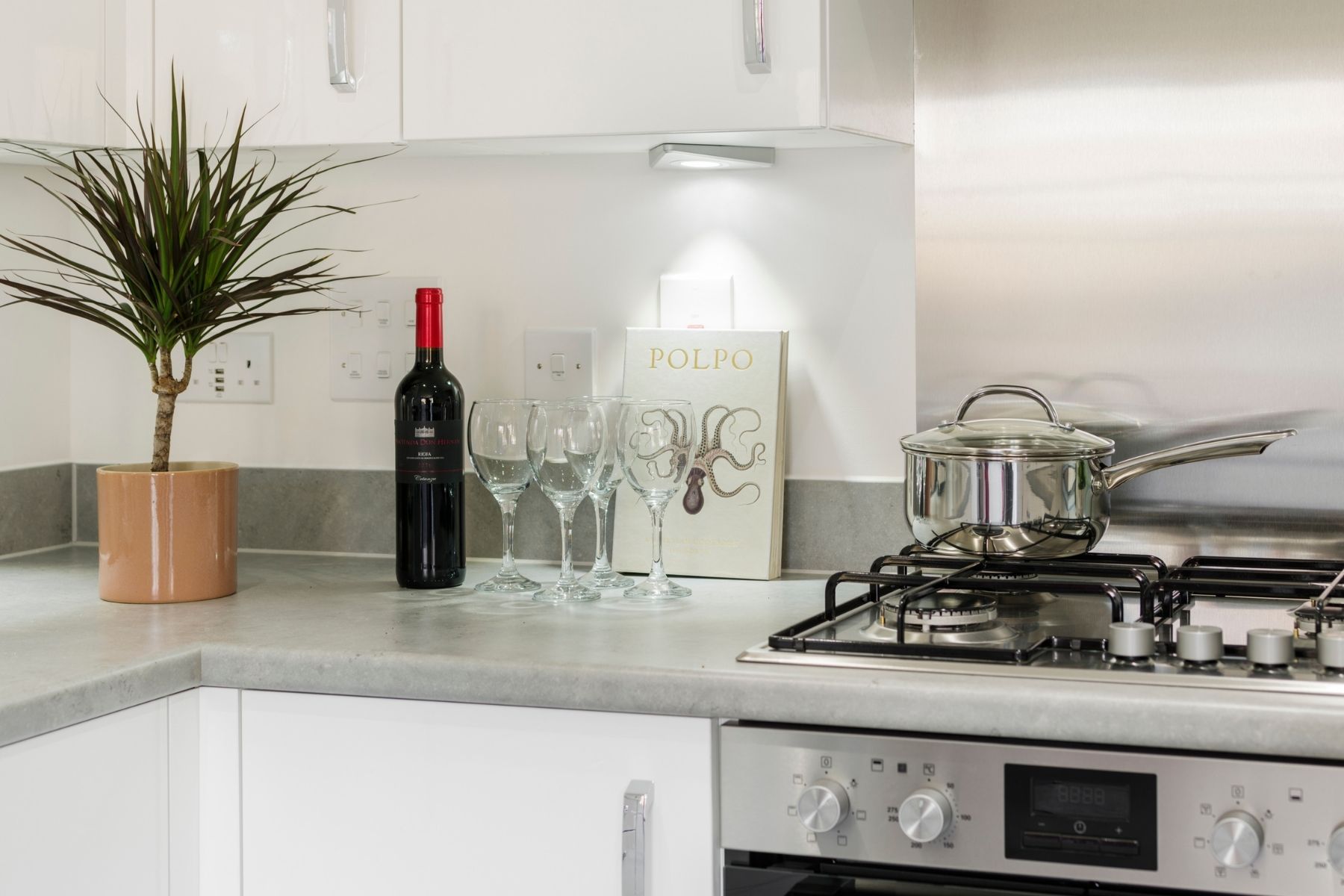 Kitchen surface with wine bottle, plant and glasses