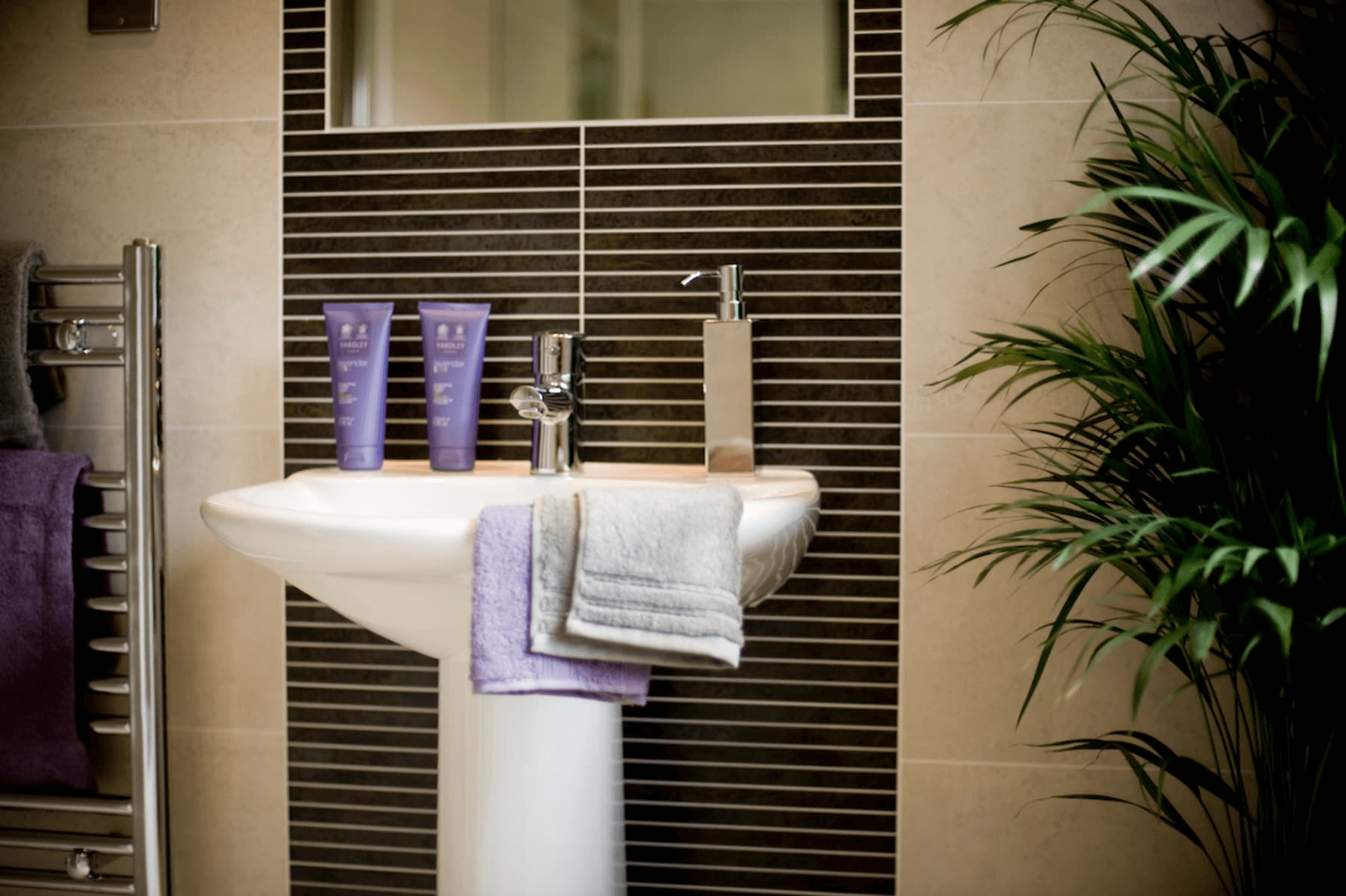 Bathroom with kentia palm
