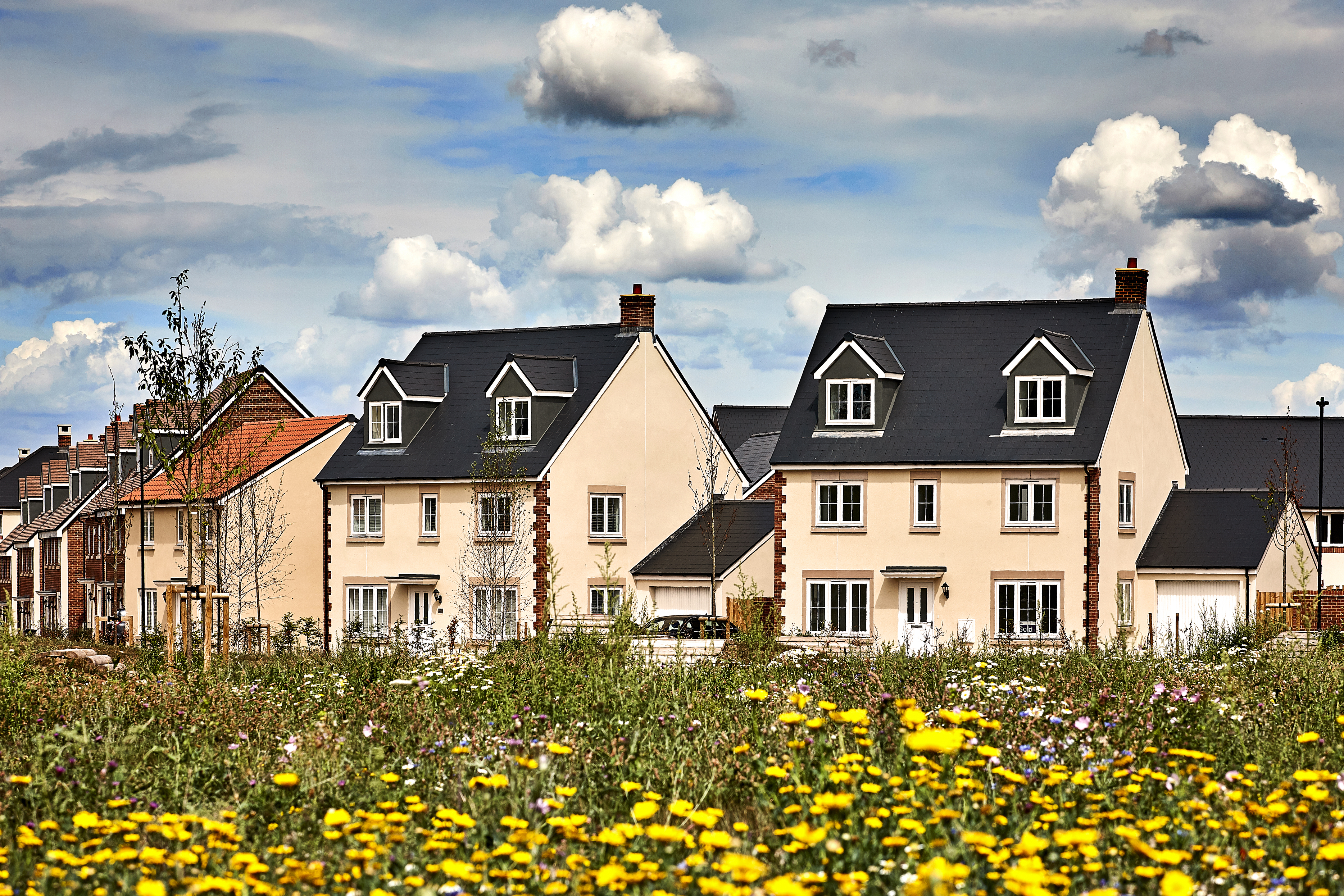 Cream coloured homes with flowers infront
