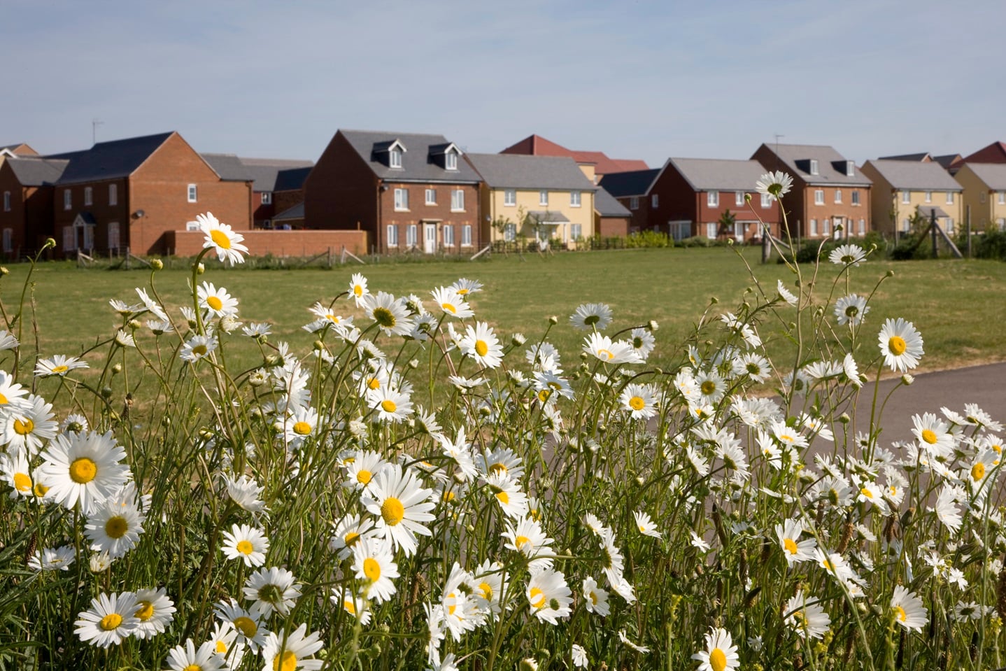 How to attract pollinators to your garden ‧ Taylor Wimpey