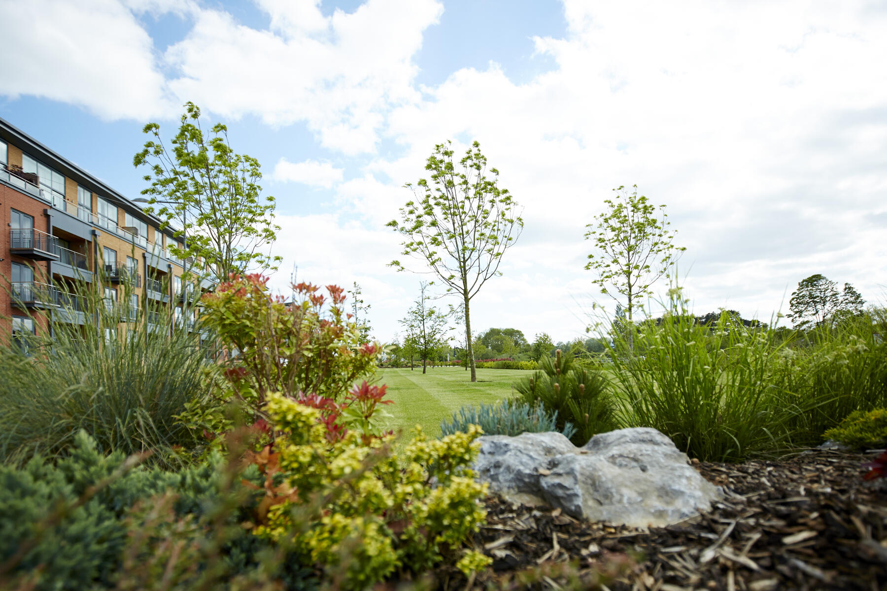 A shared garden area on a development