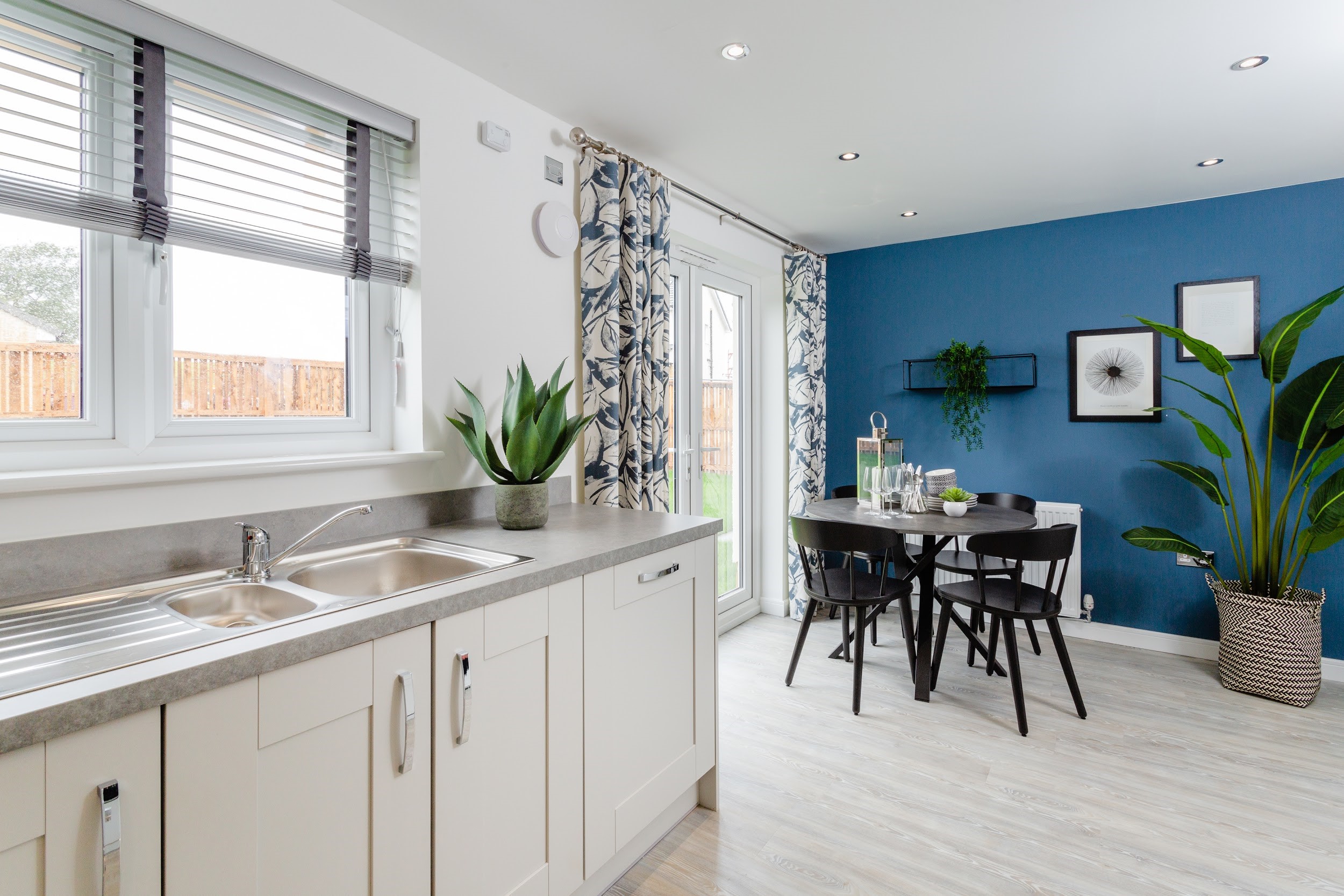 Kitchen diner with blue wall and plant