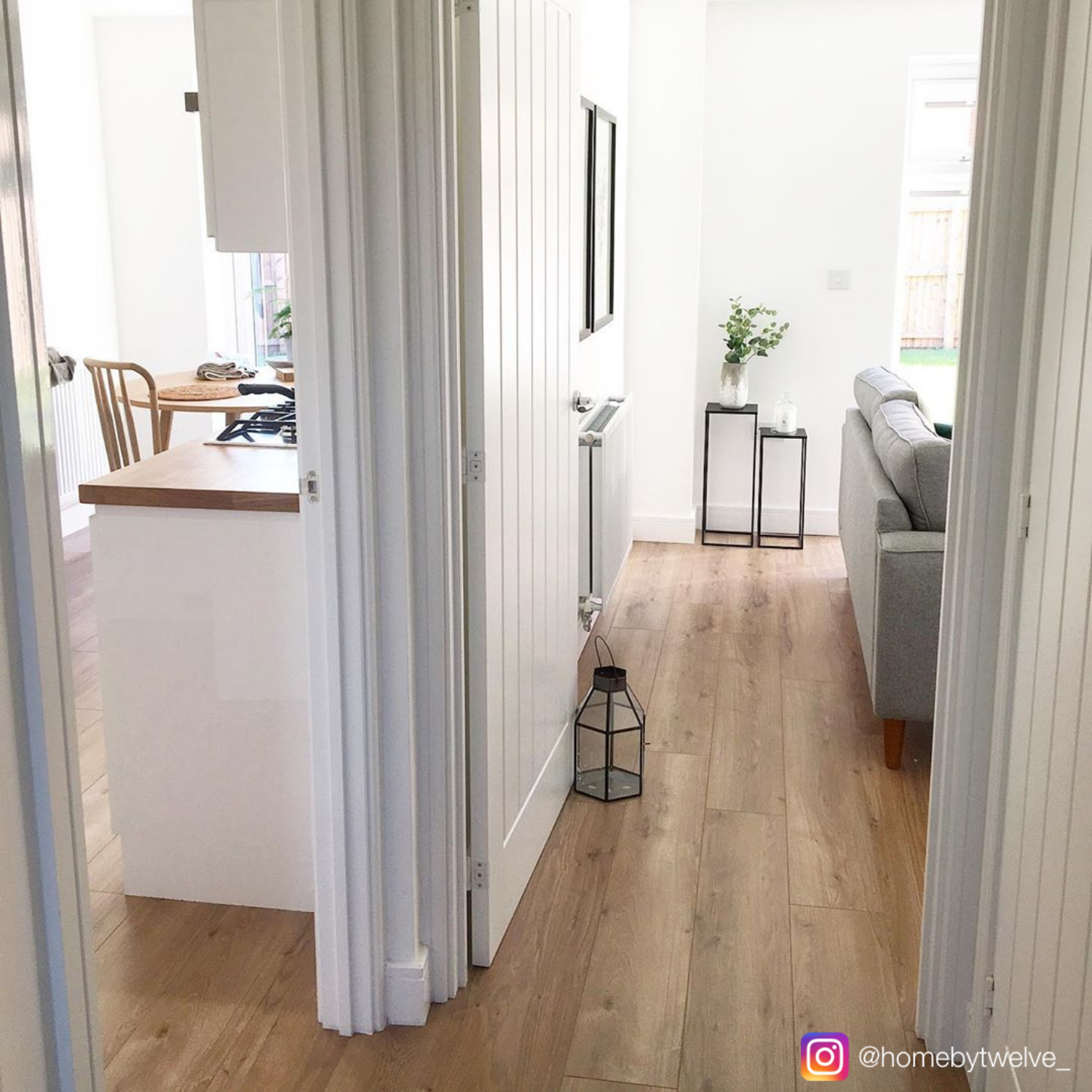 Living room and kitchen zones