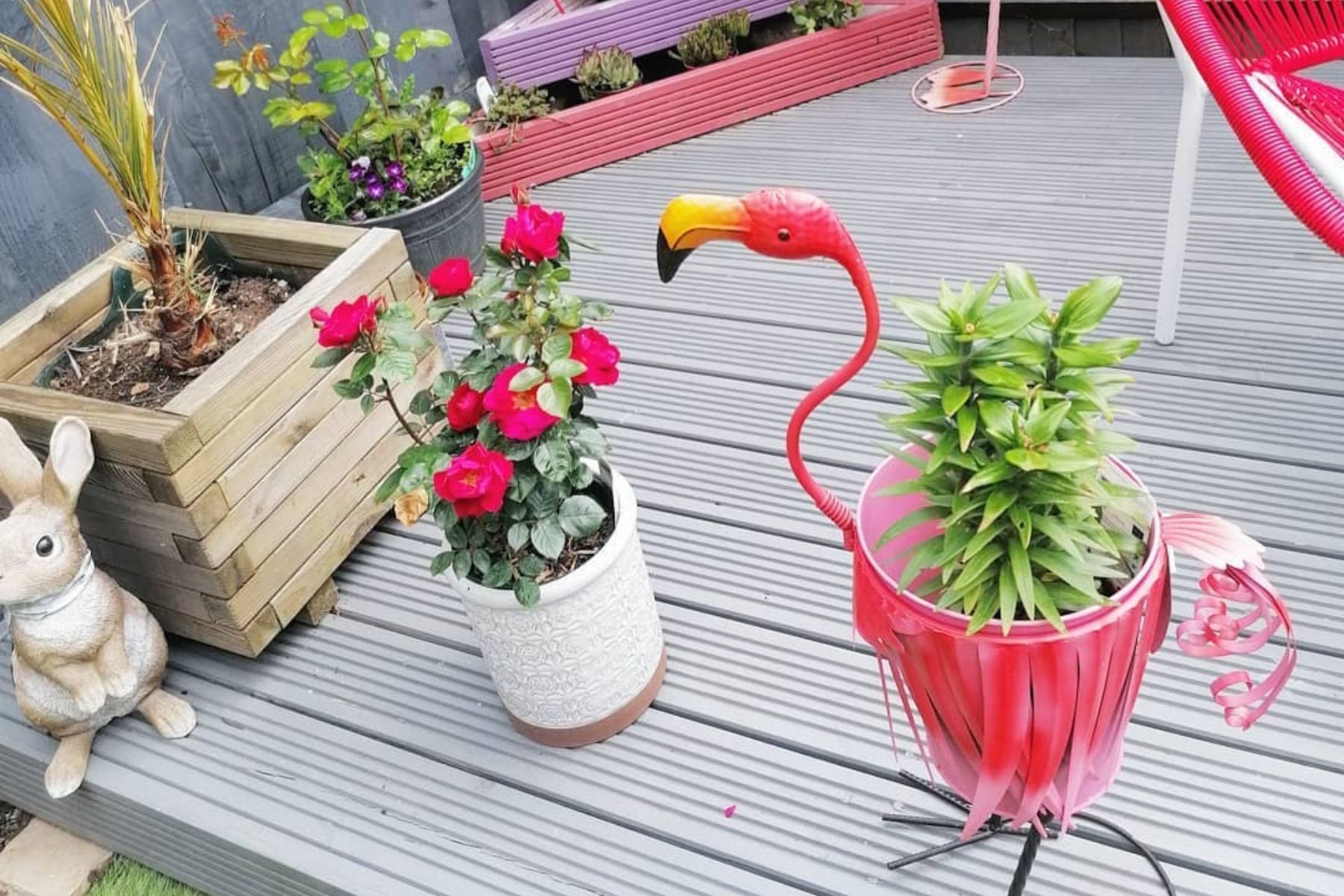 Flamingo inspired garden