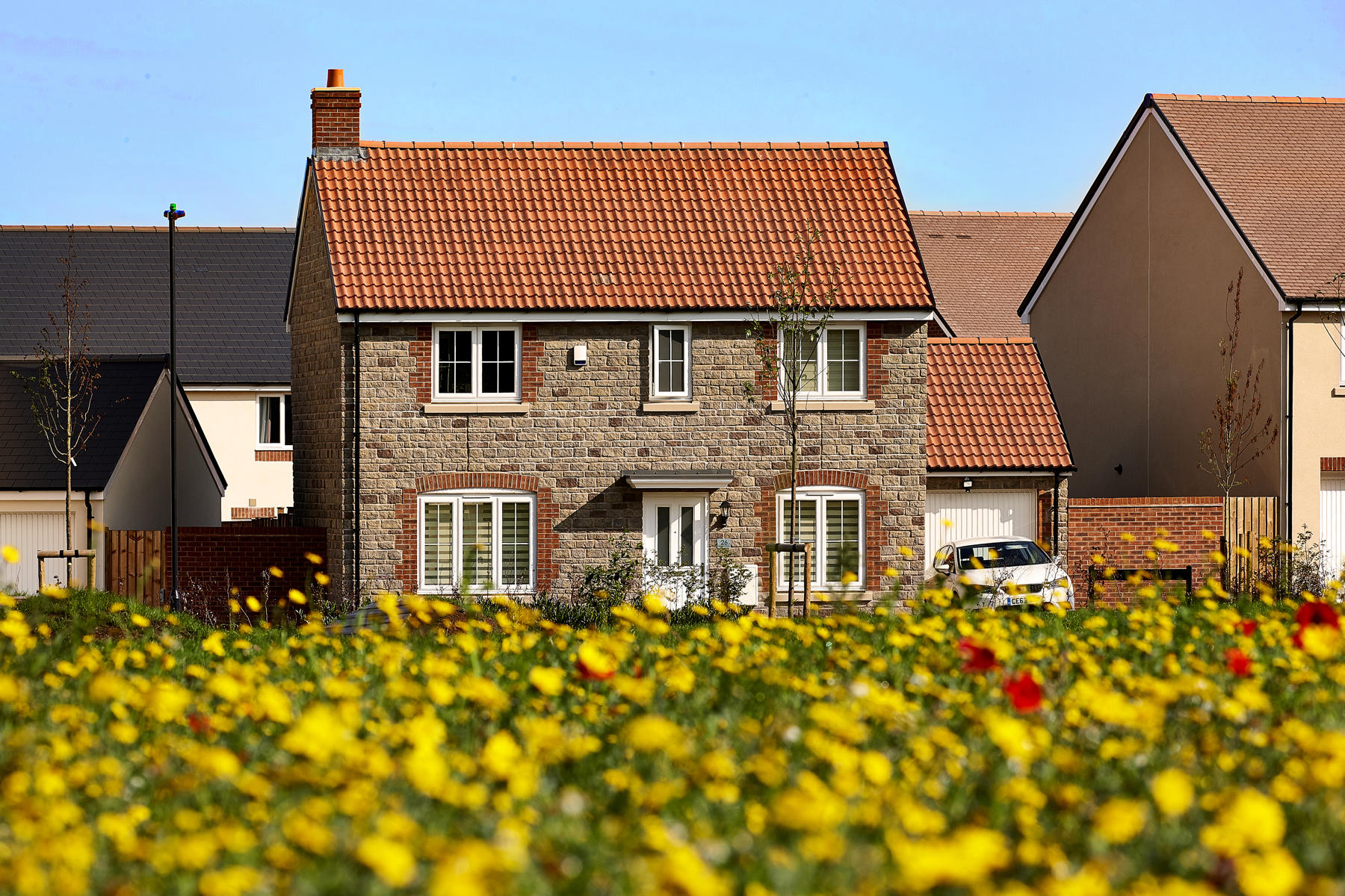 Scholars Chase, Stoke - Shelford House