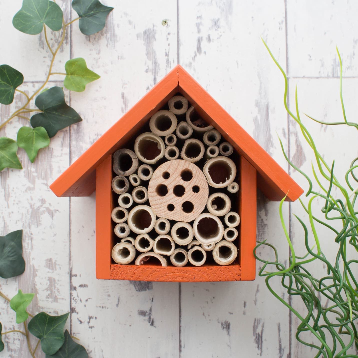 Bug House by Folksy 