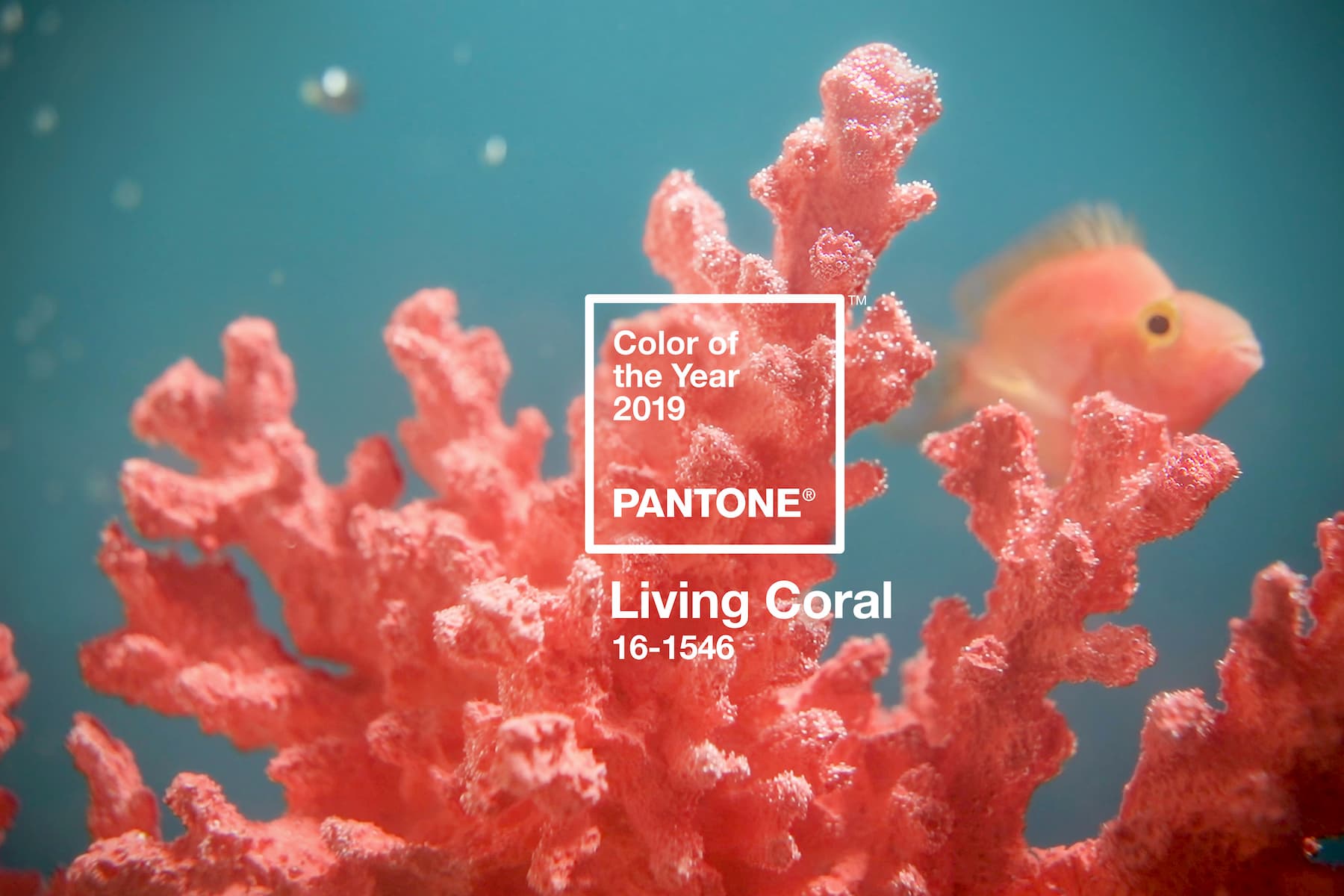 Pantone Colour