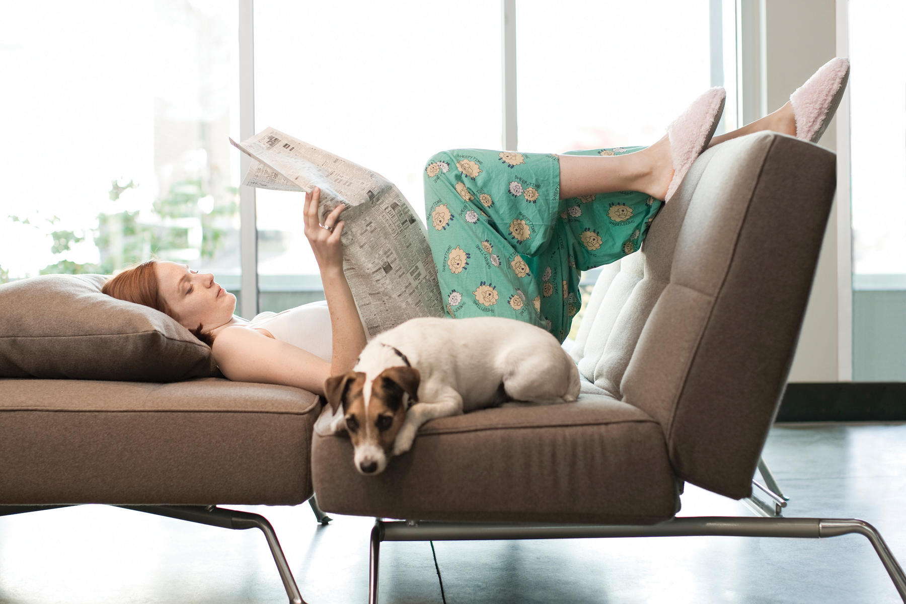 Dog on couch