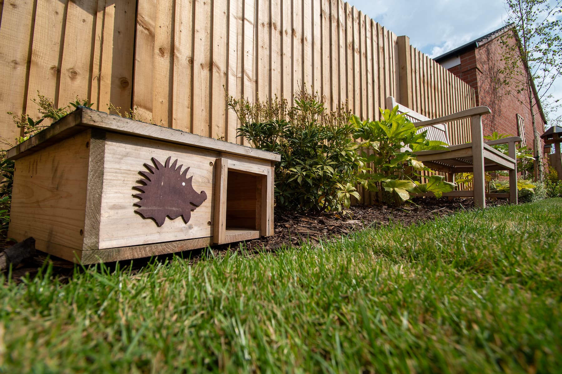 Hedgehog highway