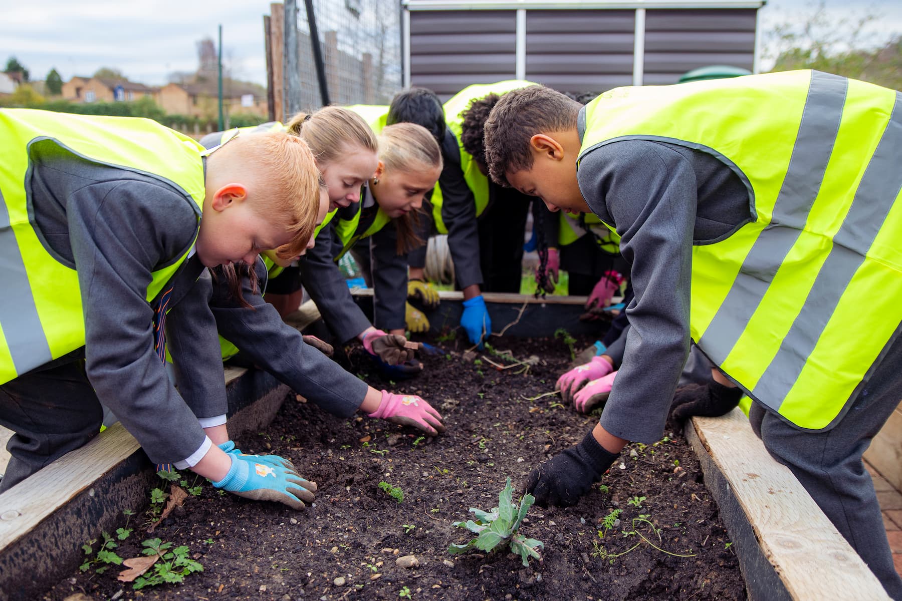 School kids planting