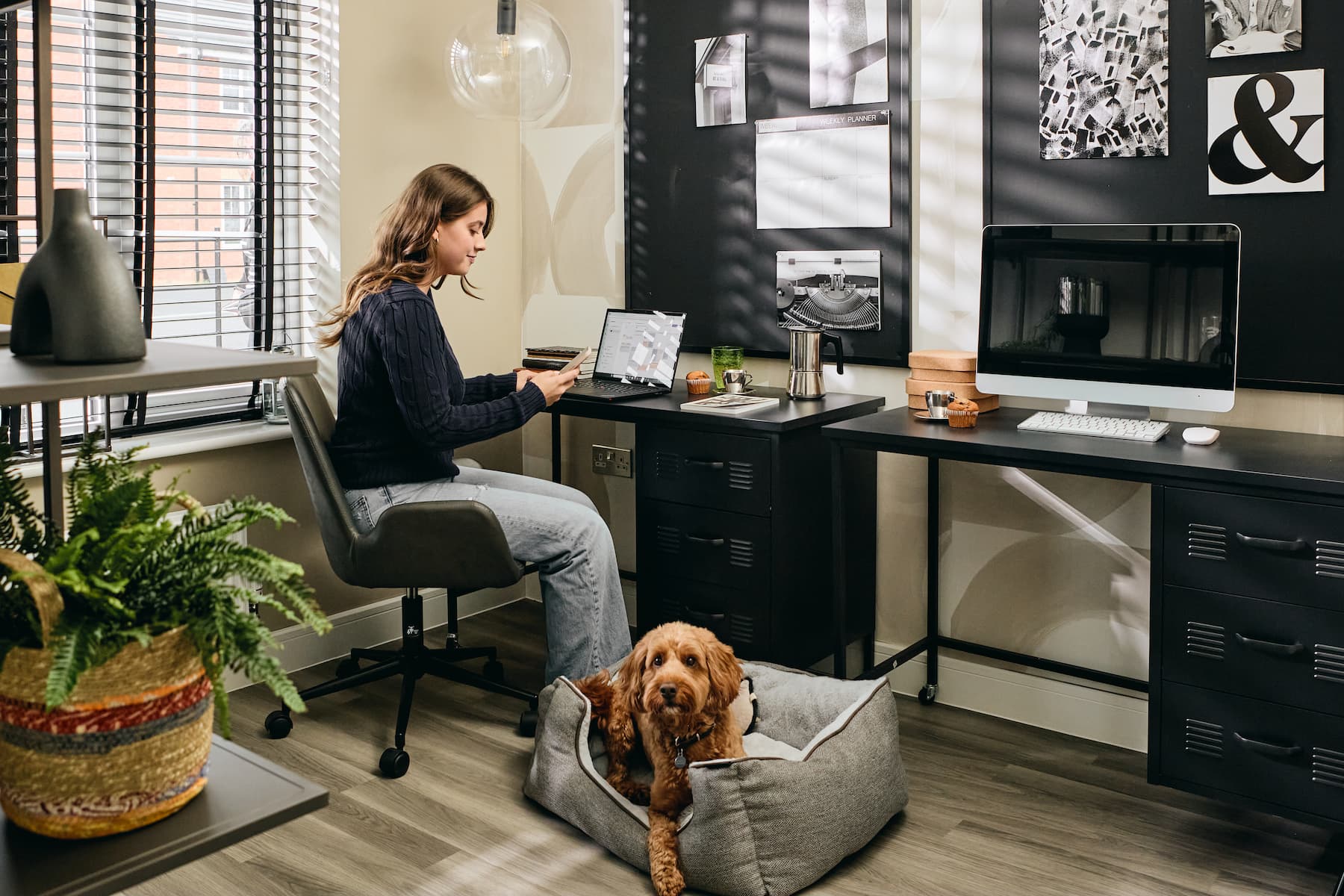 Person working at desk with dog