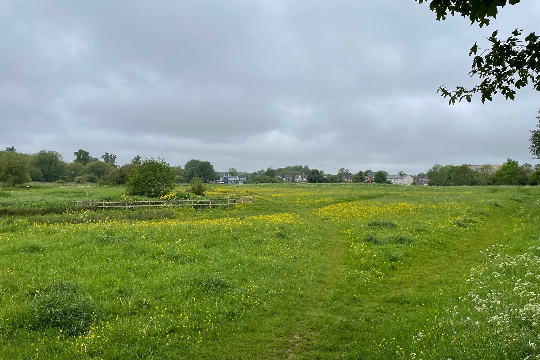 Purwell Meadows Nature Reserve