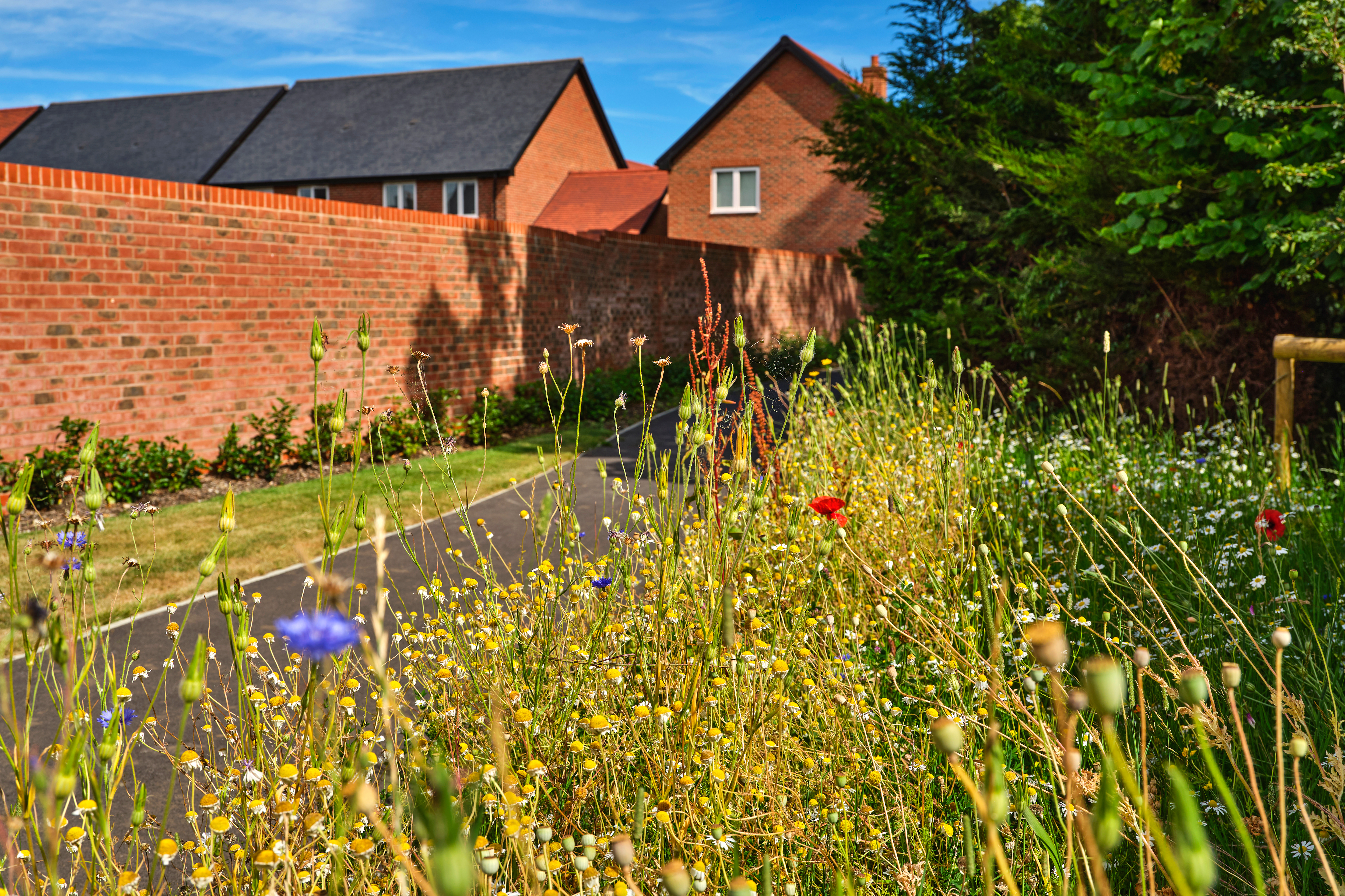 Taylor Wimpey flower bed 
