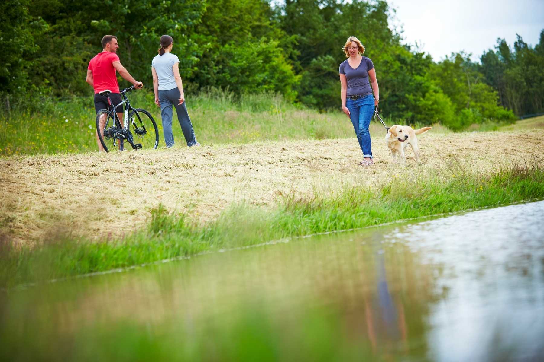 Sustainable Urban Drainage Basin