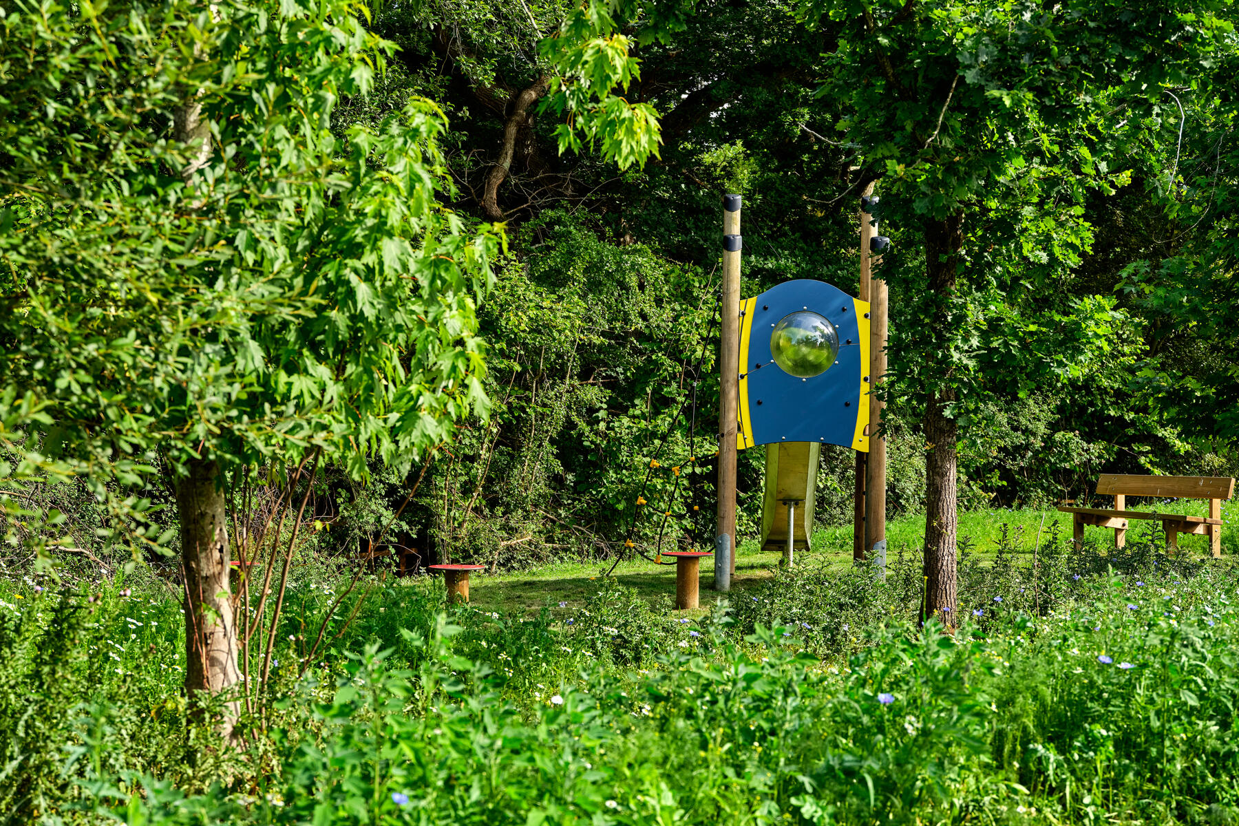 Wildflower playground