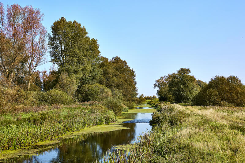 River bed